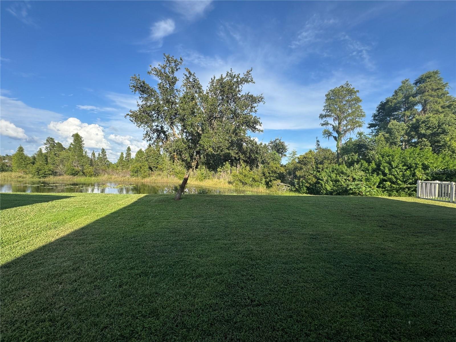 1970 FOX GRAPE LOOP, LUTZ, FL, 33558