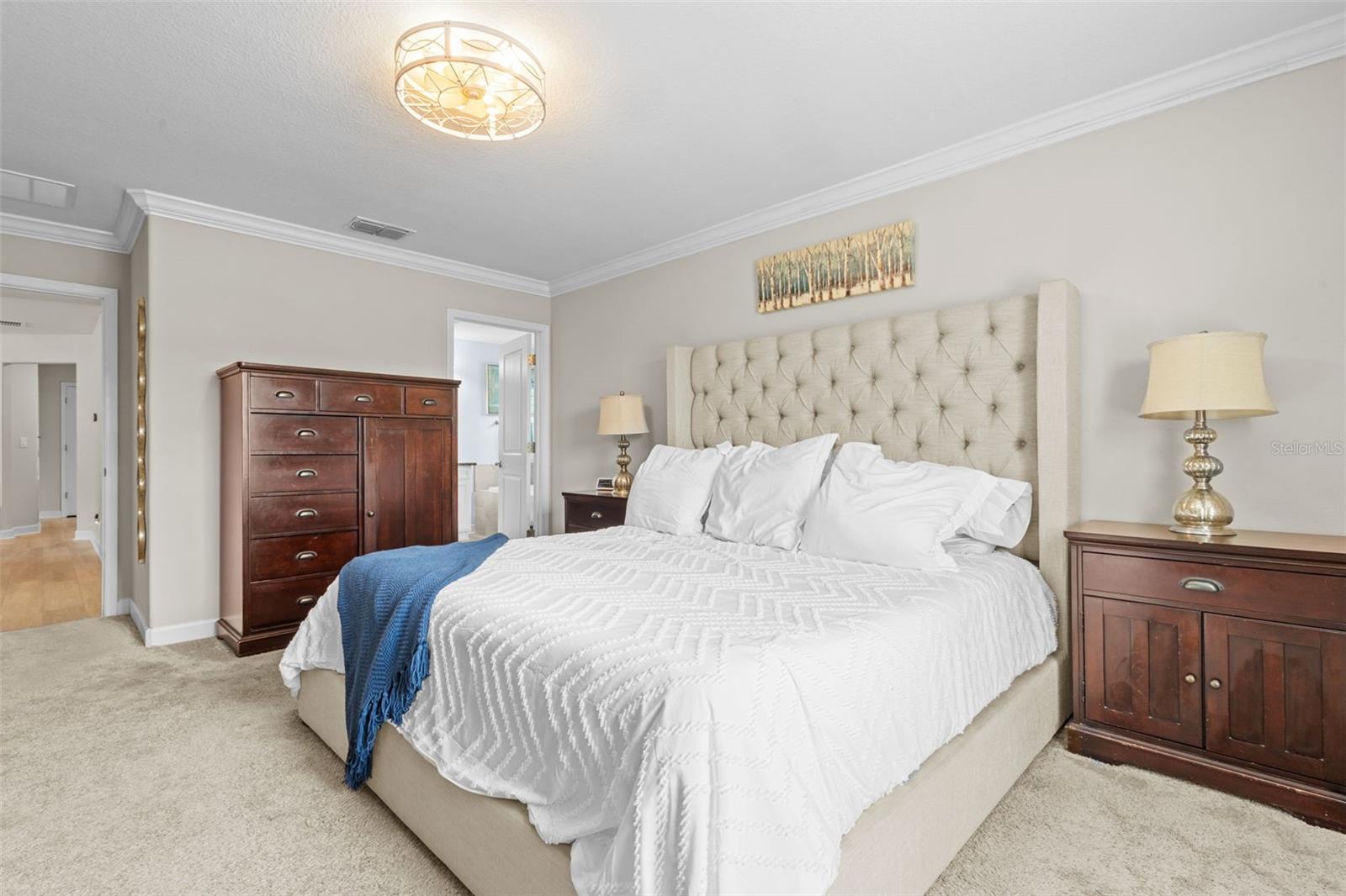 17349 CRUISER BND, LAND O LAKES, FL, 34638