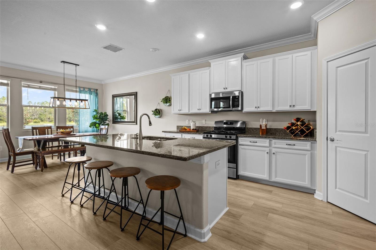 17349 CRUISER BND, LAND O LAKES, FL, 34638