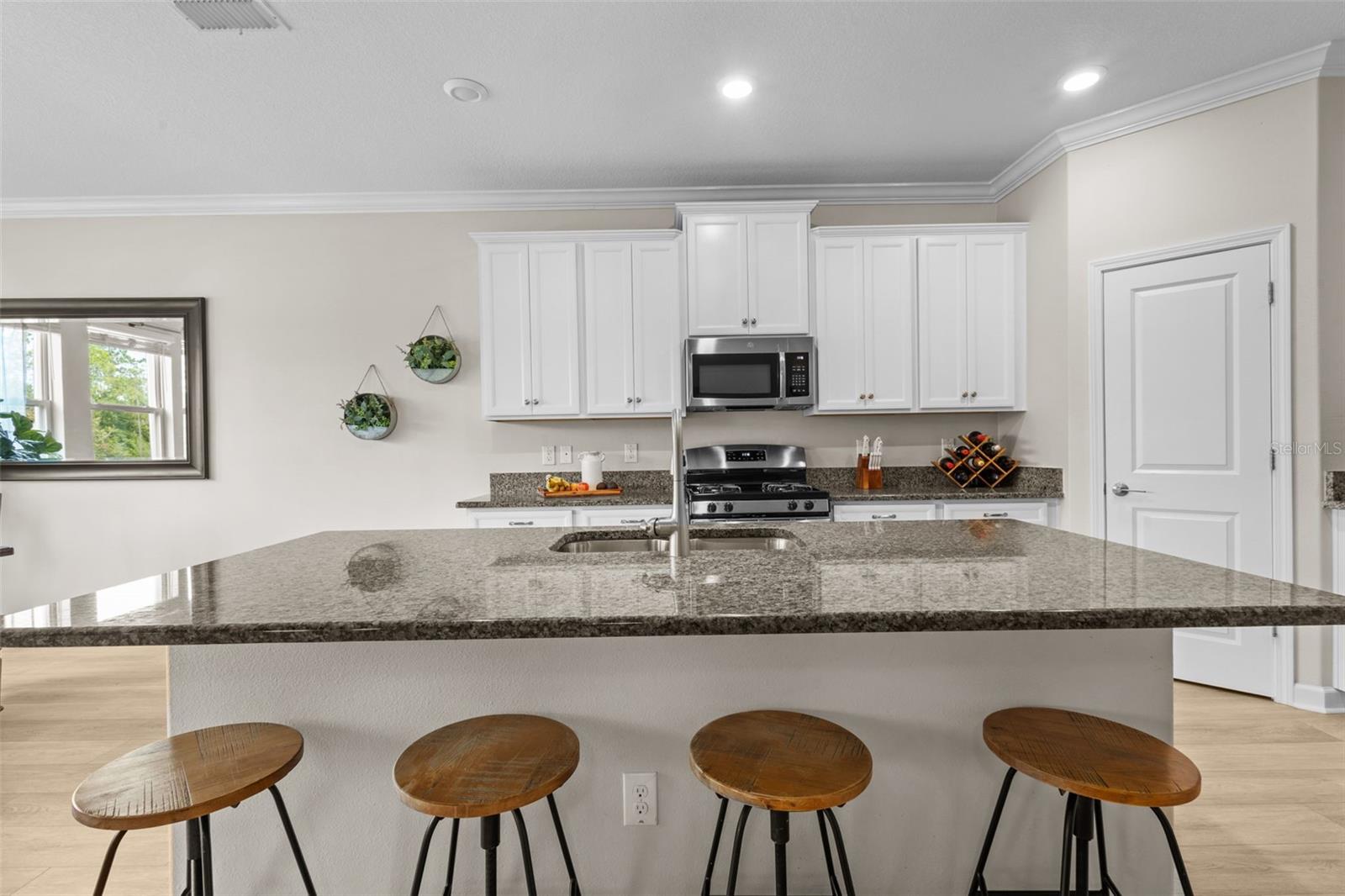 17349 CRUISER BND, LAND O LAKES, FL, 34638