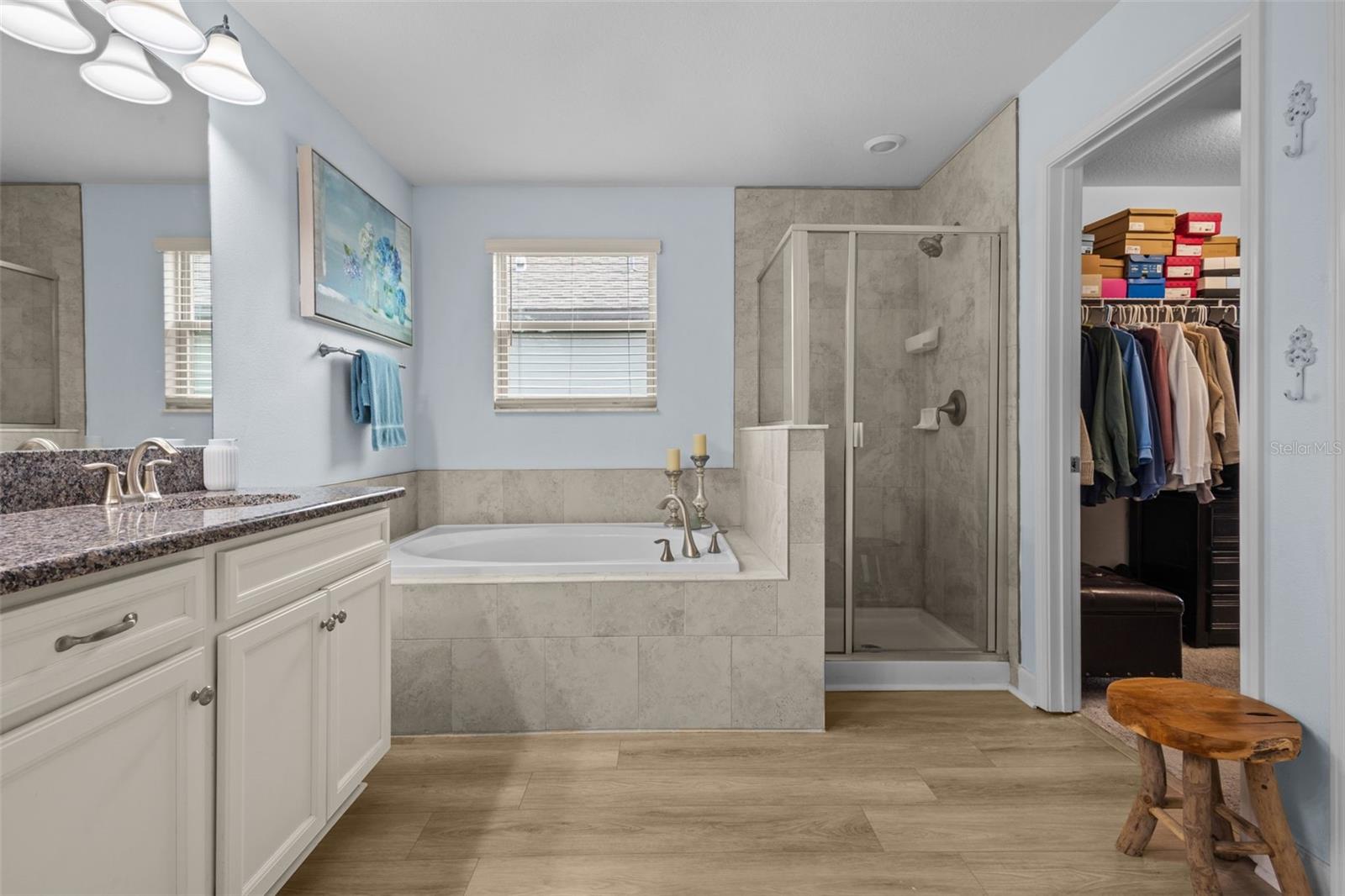 17349 CRUISER BND, LAND O LAKES, FL, 34638