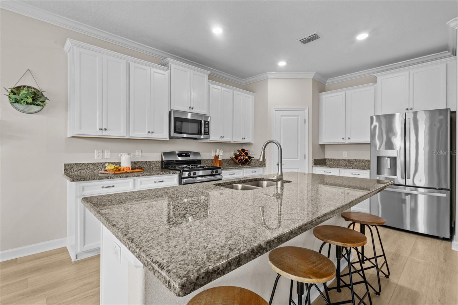 17349 CRUISER BND, LAND O LAKES, FL, 34638