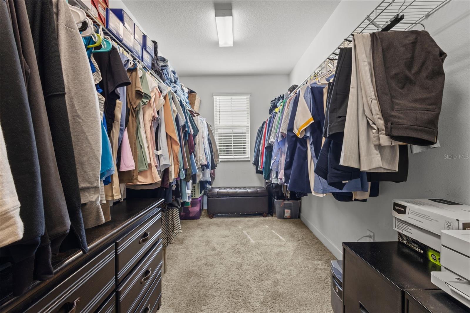 17349 CRUISER BND, LAND O LAKES, FL, 34638