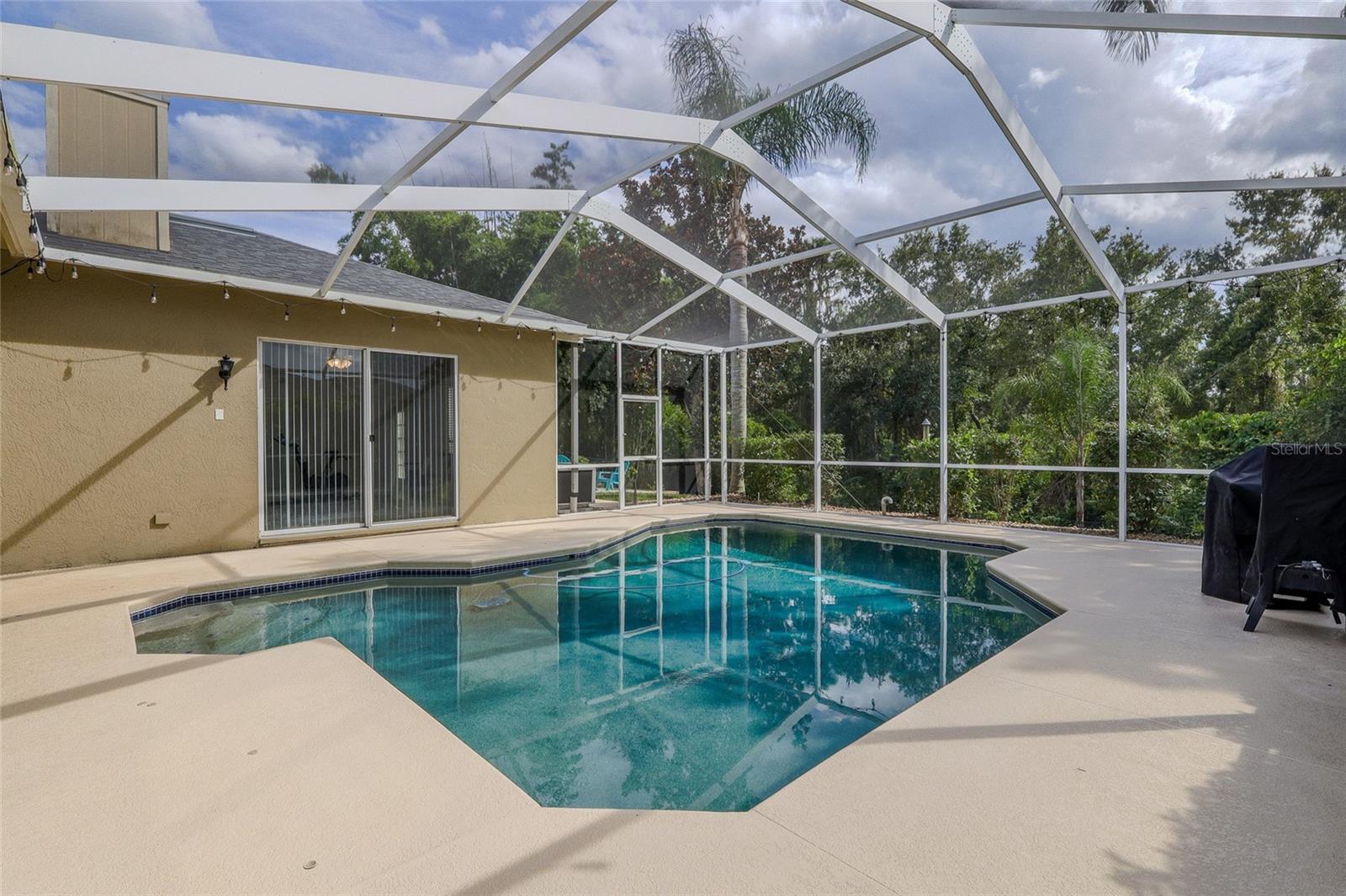 16211 BRIDGEPARK DR, LITHIA, FL, 33547