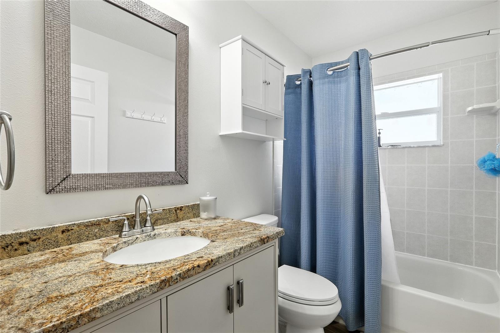 16211 BRIDGEPARK DR, LITHIA, FL, 33547