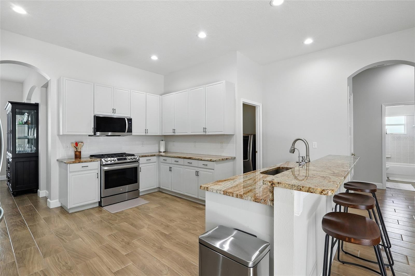 16211 BRIDGEPARK DR, LITHIA, FL, 33547