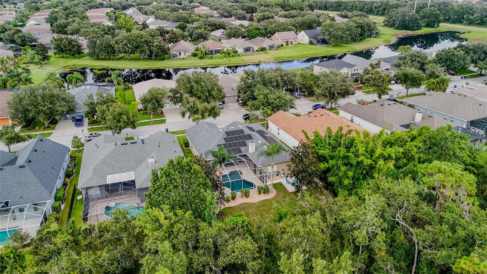 16211 BRIDGEPARK DR, LITHIA, FL, 33547