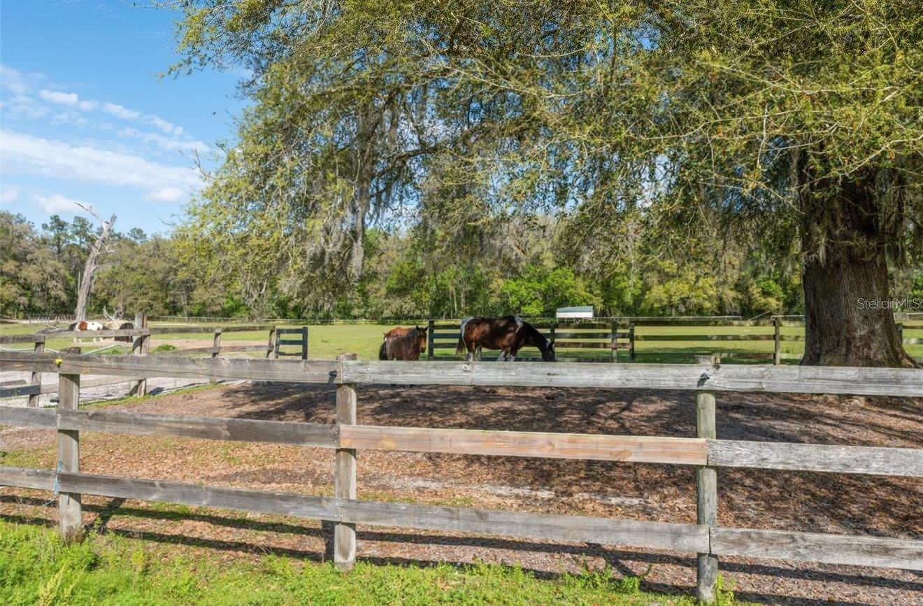 18530 LAKE LINDSEY RD, BROOKSVILLE, FL, 34601