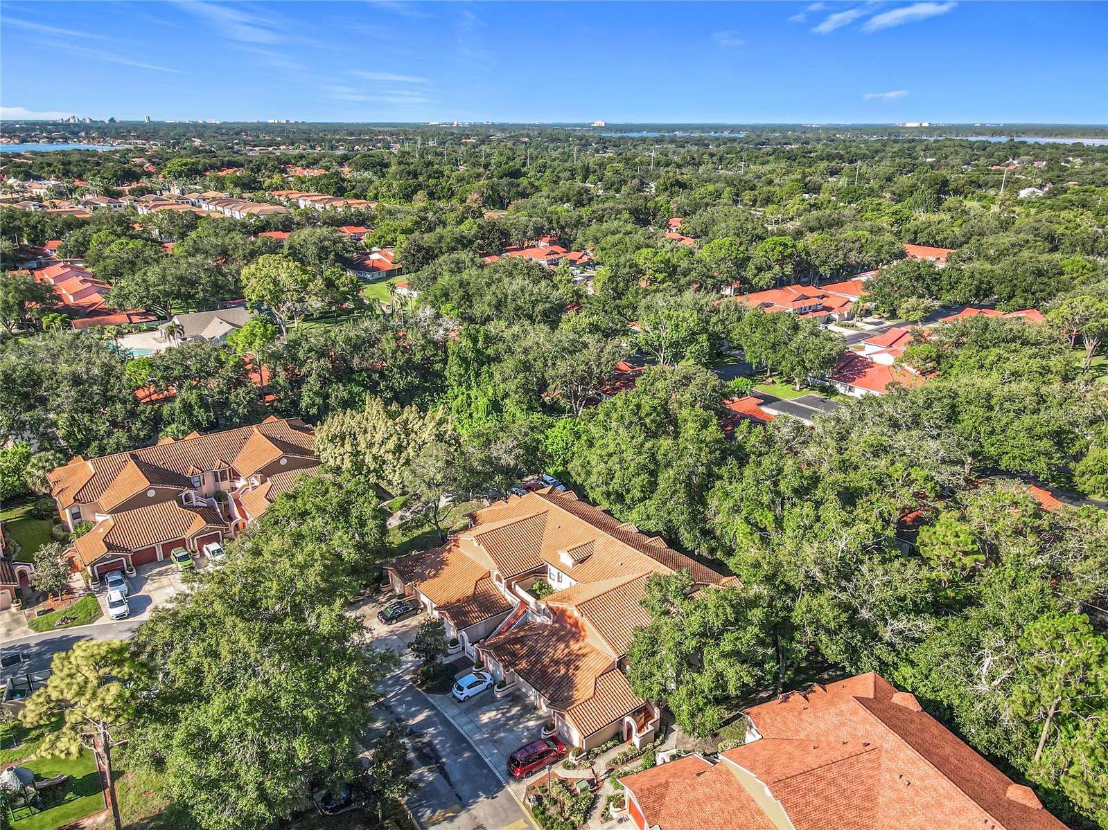 7713 SUGAR BEND DR #7713, ORLANDO, FL, 32819