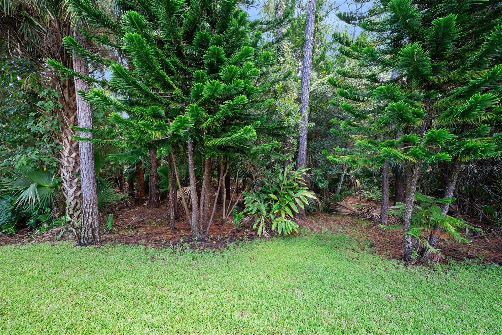 31 CIRCLE CREEK WAY, ORMOND BEACH, FL, 32174