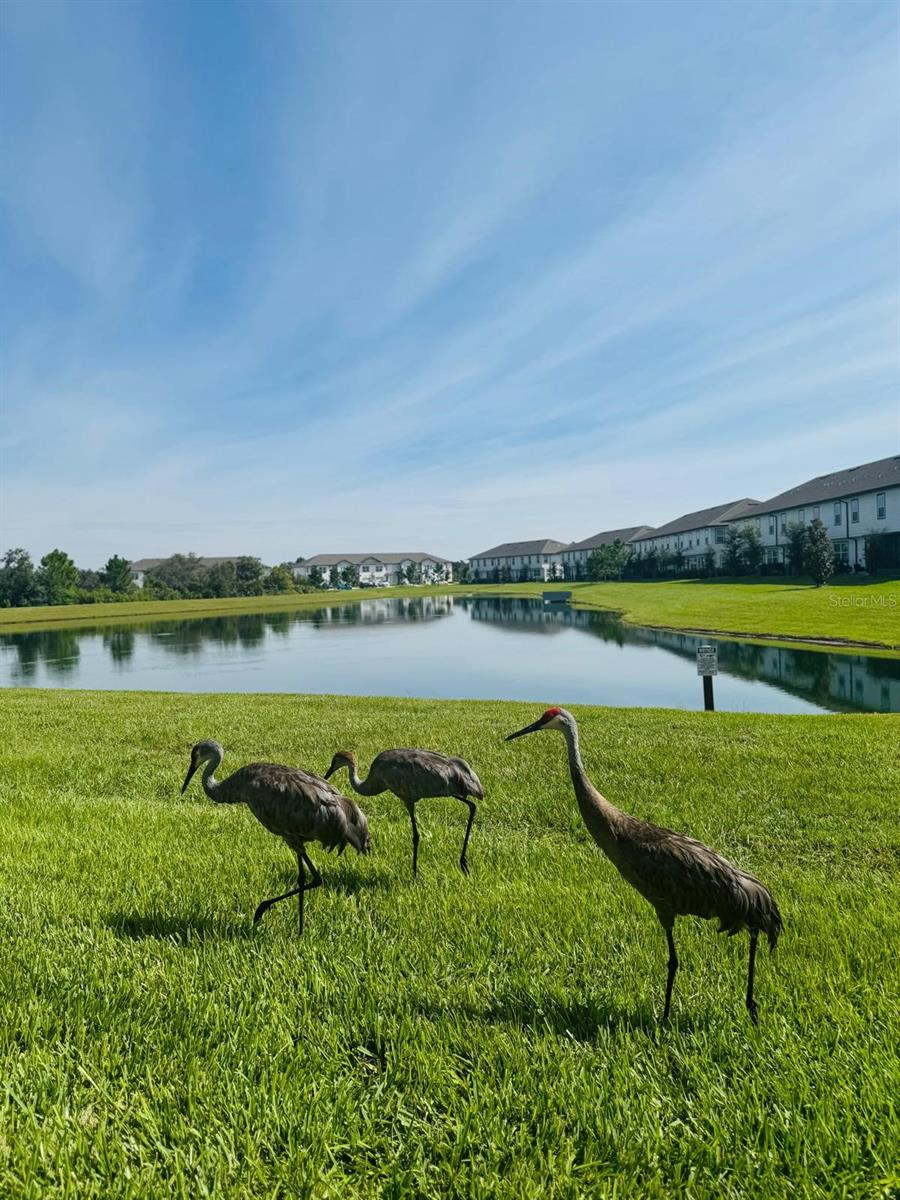 1039 PLANTATION LANE, DAVENPORT, FL, 33896