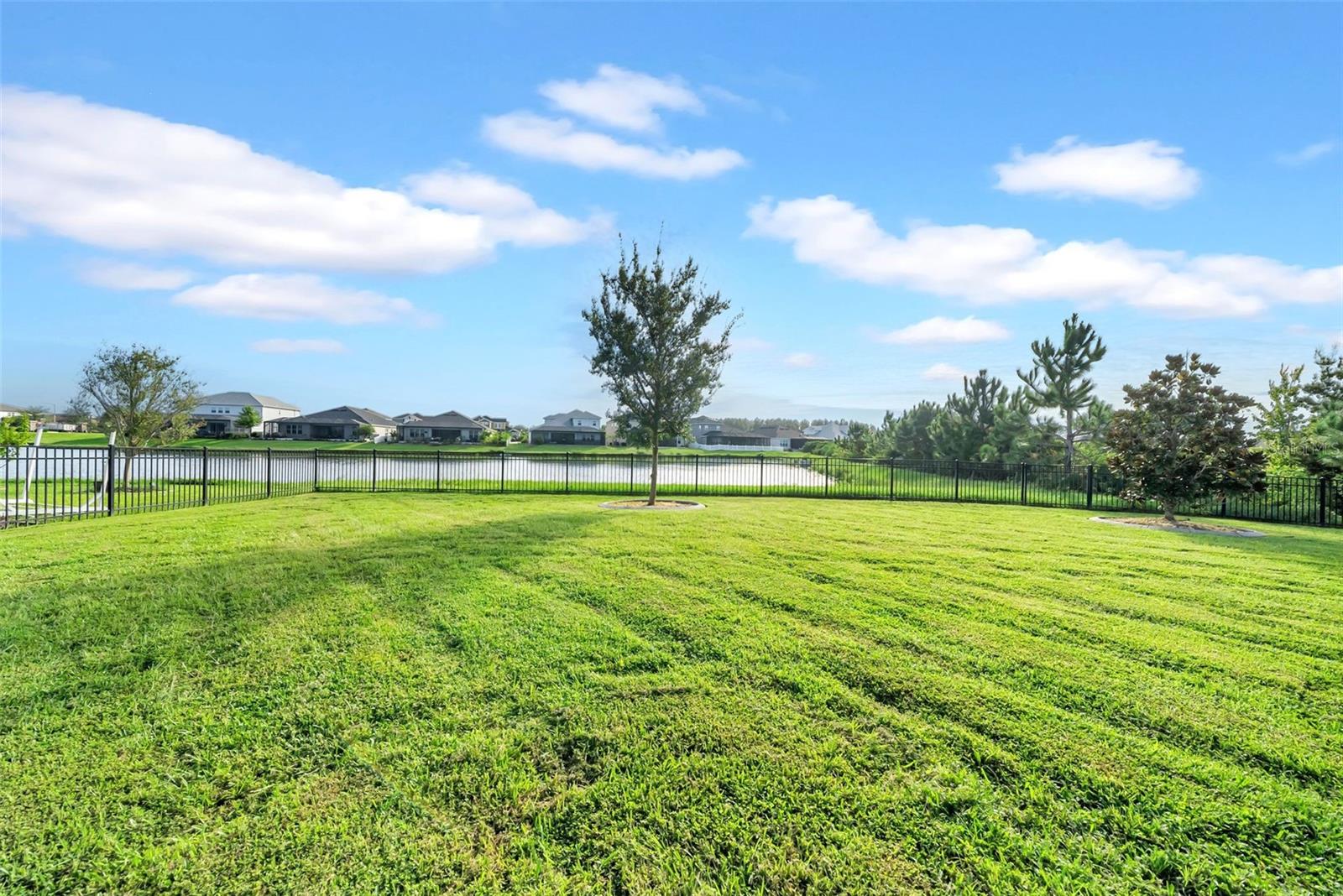 34307 RADLEY WAY, WESLEY CHAPEL, FL, 33545