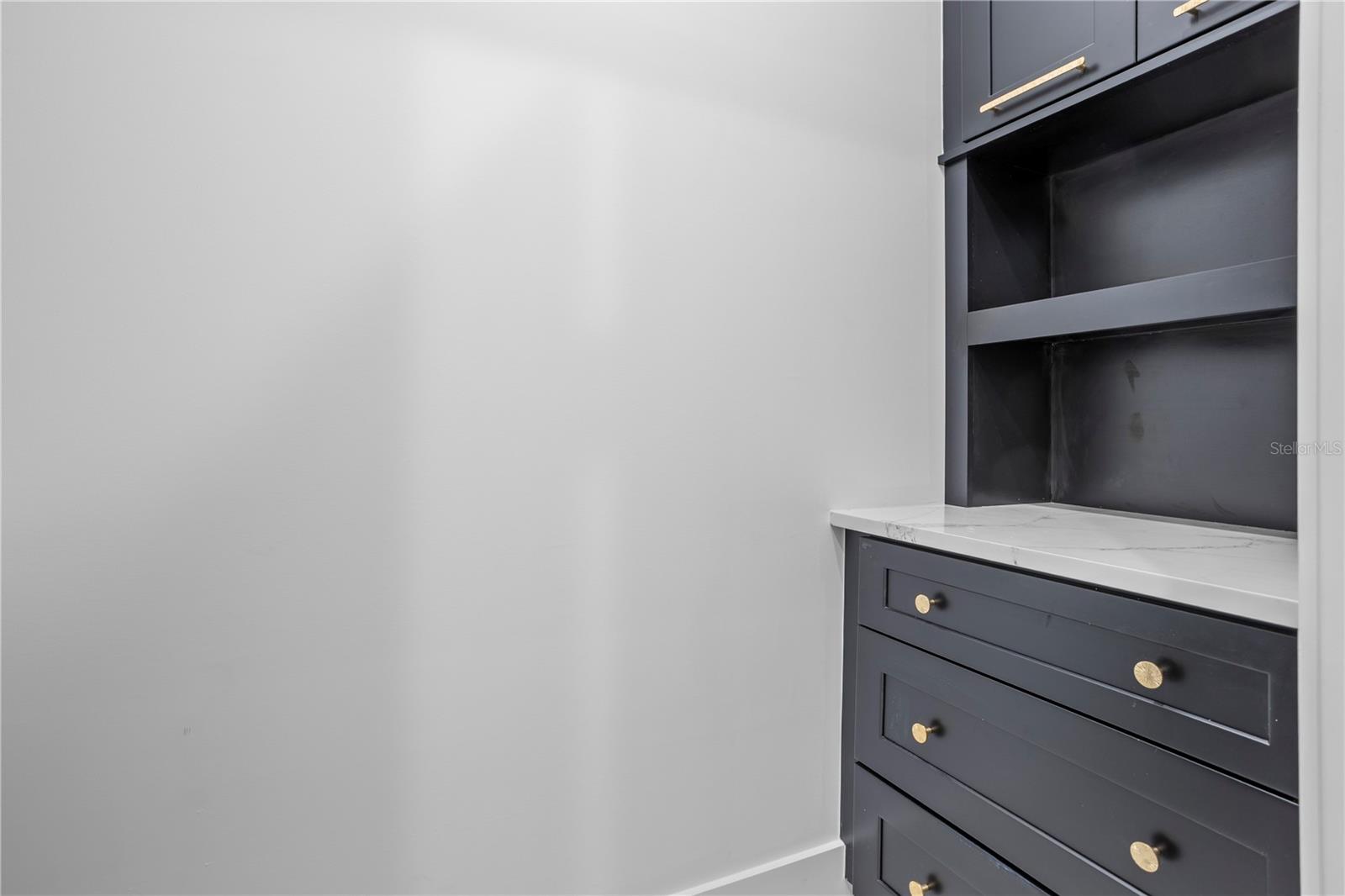 34435 DONNA VISTA PLACE, EUSTIS, FL, 32736