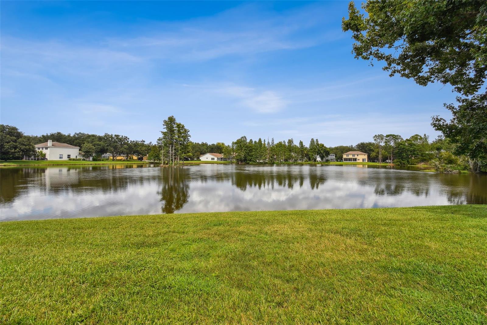 17737 ESPRIT DR, TAMPA, FL, 33647