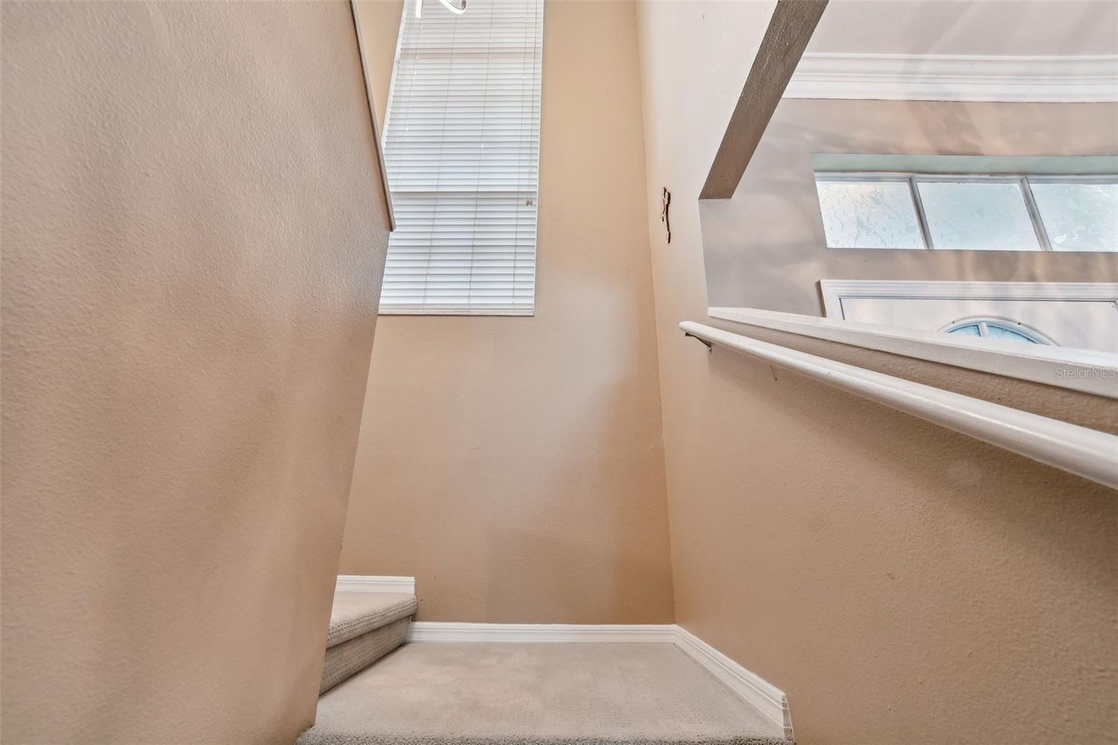 17737 ESPRIT DR, TAMPA, FL, 33647