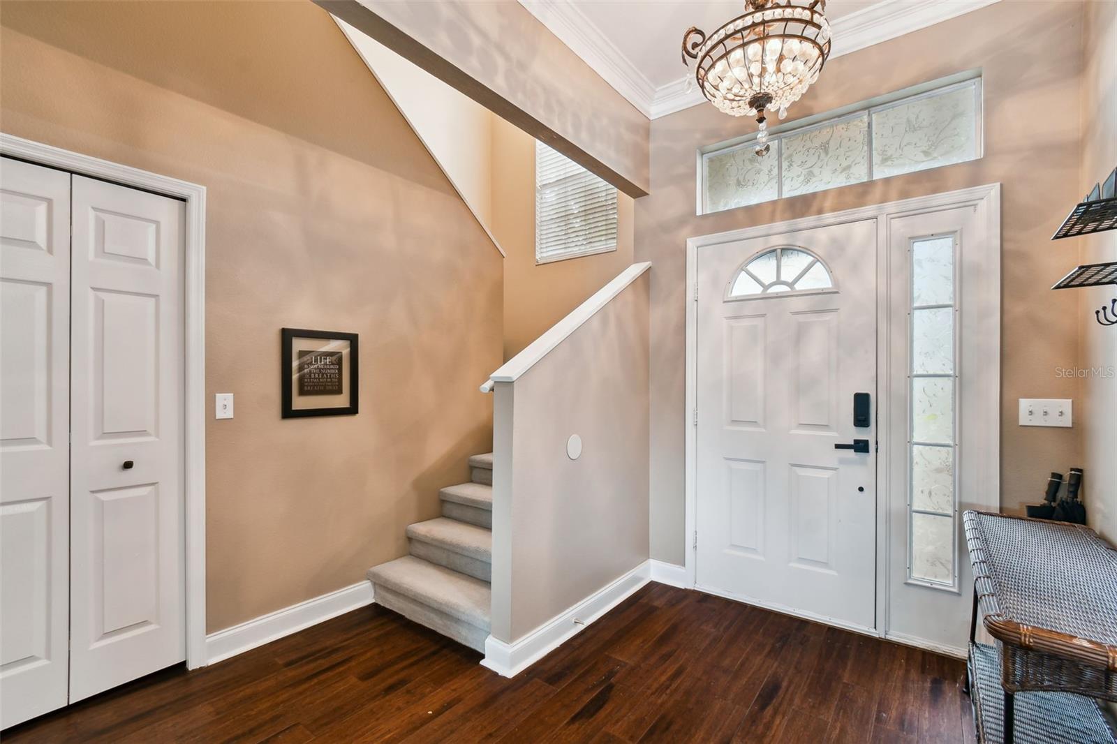 17737 ESPRIT DR, TAMPA, FL, 33647