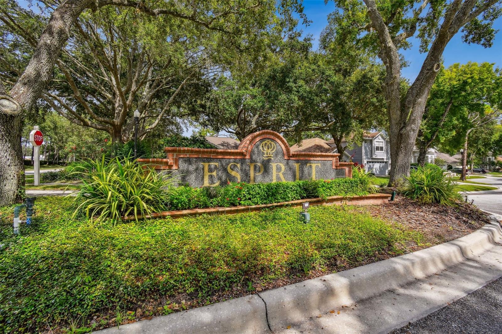 17737 ESPRIT DR, TAMPA, FL, 33647