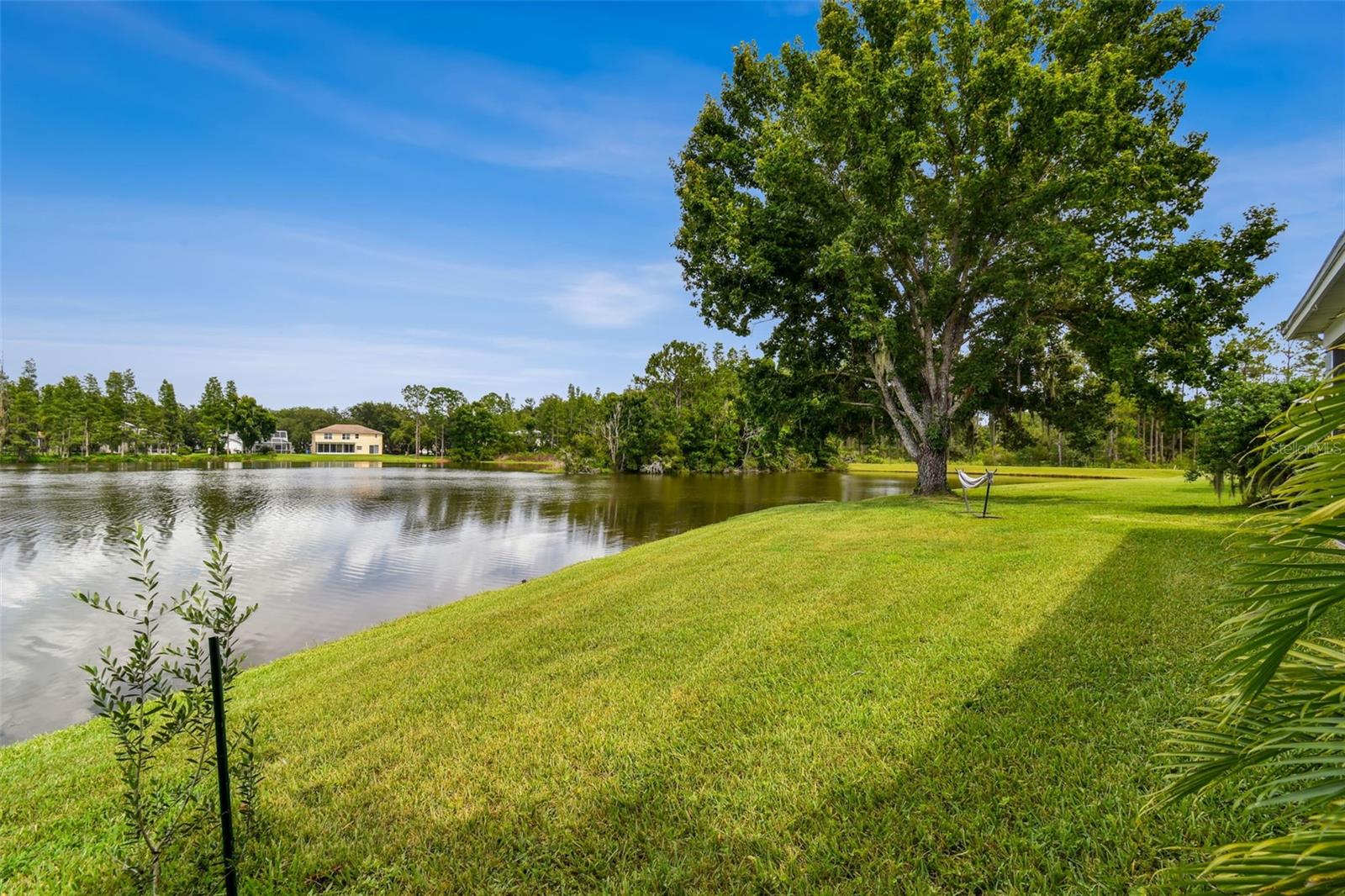 17737 ESPRIT DR, TAMPA, FL, 33647