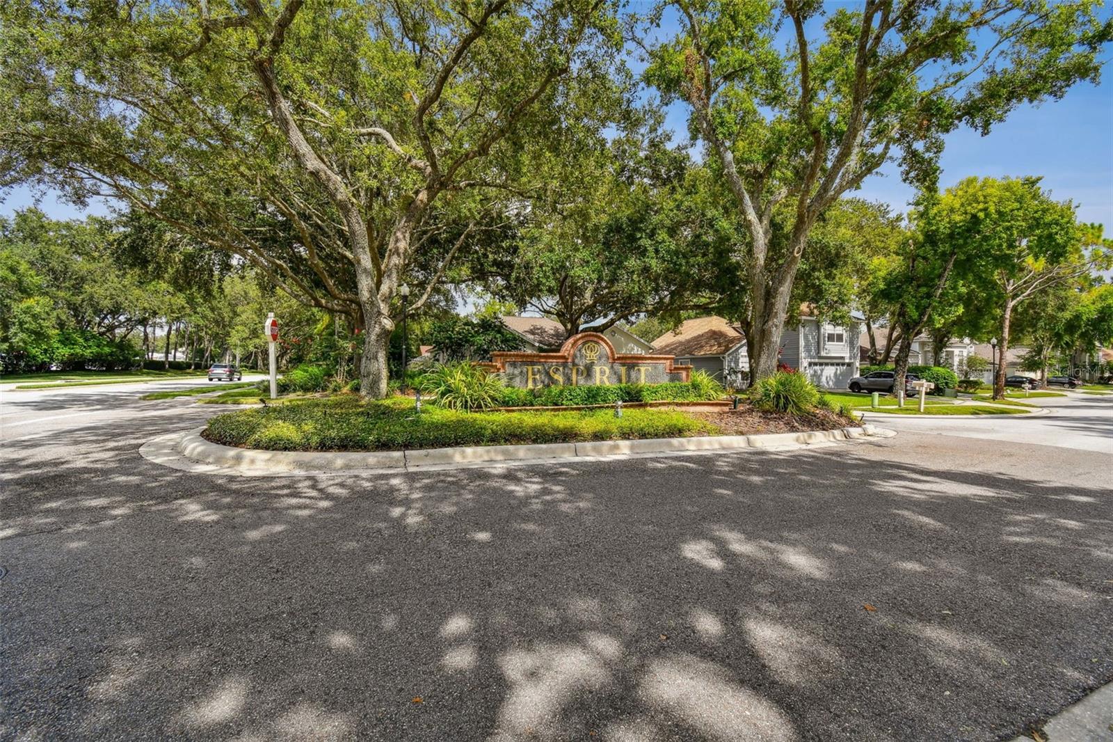 17737 ESPRIT DR, TAMPA, FL, 33647