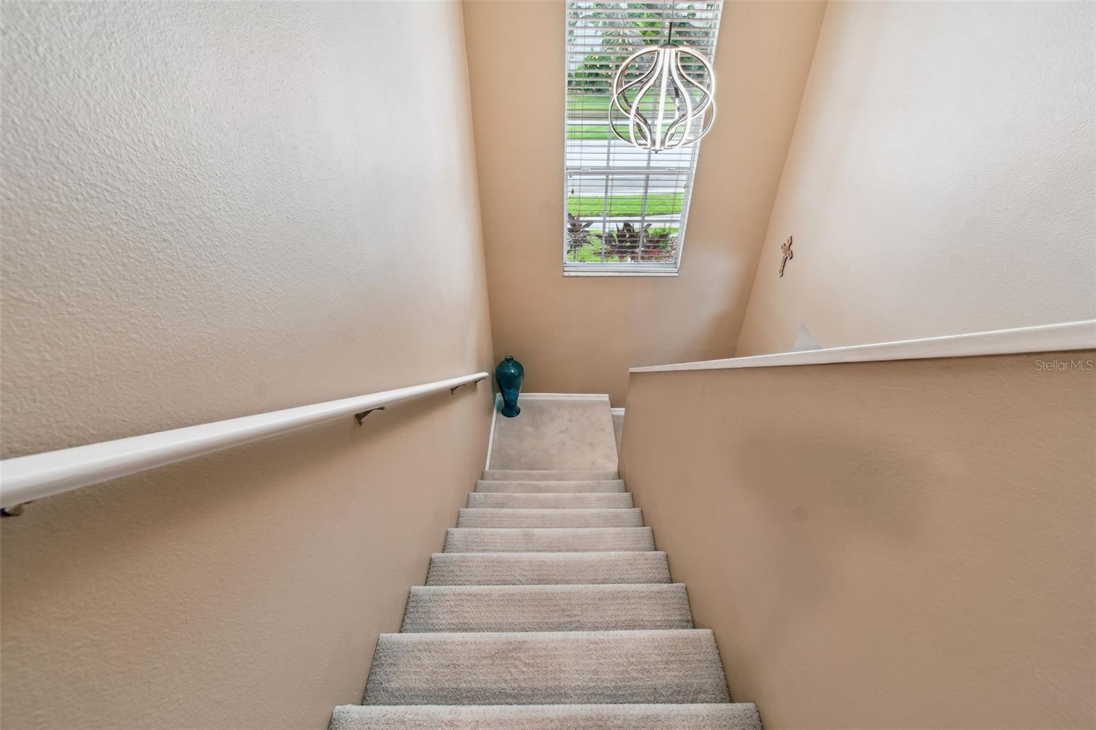 17737 ESPRIT DR, TAMPA, FL, 33647