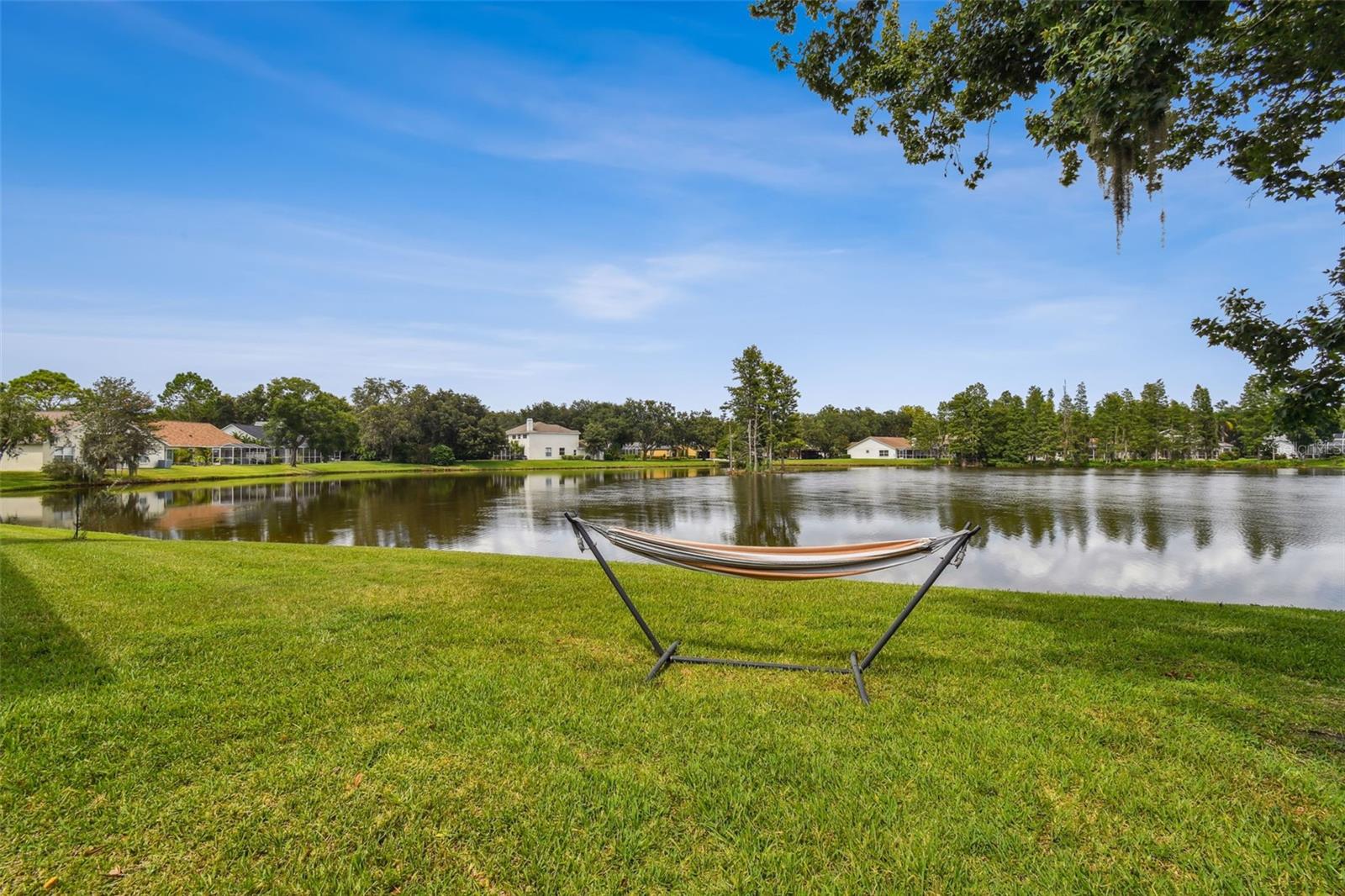 17737 ESPRIT DR, TAMPA, FL, 33647