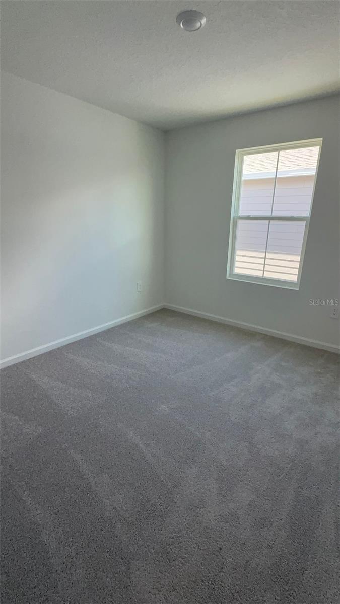 3767 BERGAMONT STREET, LAKE ALFRED, FL, 33850