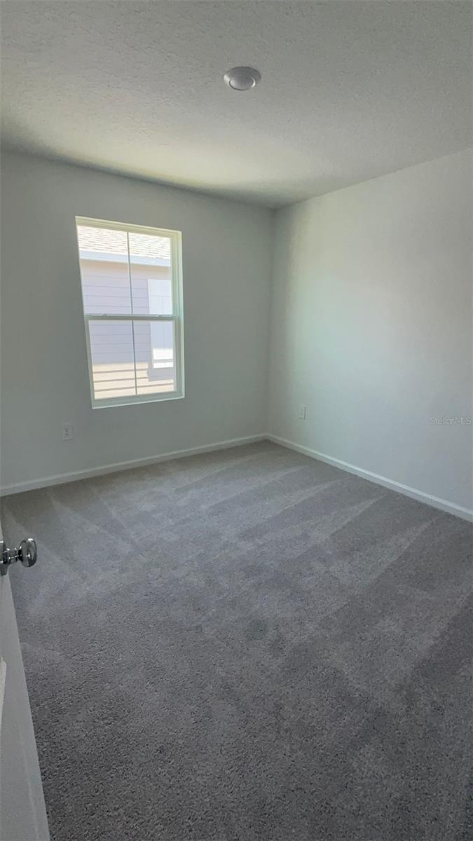 3767 BERGAMONT STREET, LAKE ALFRED, FL, 33850