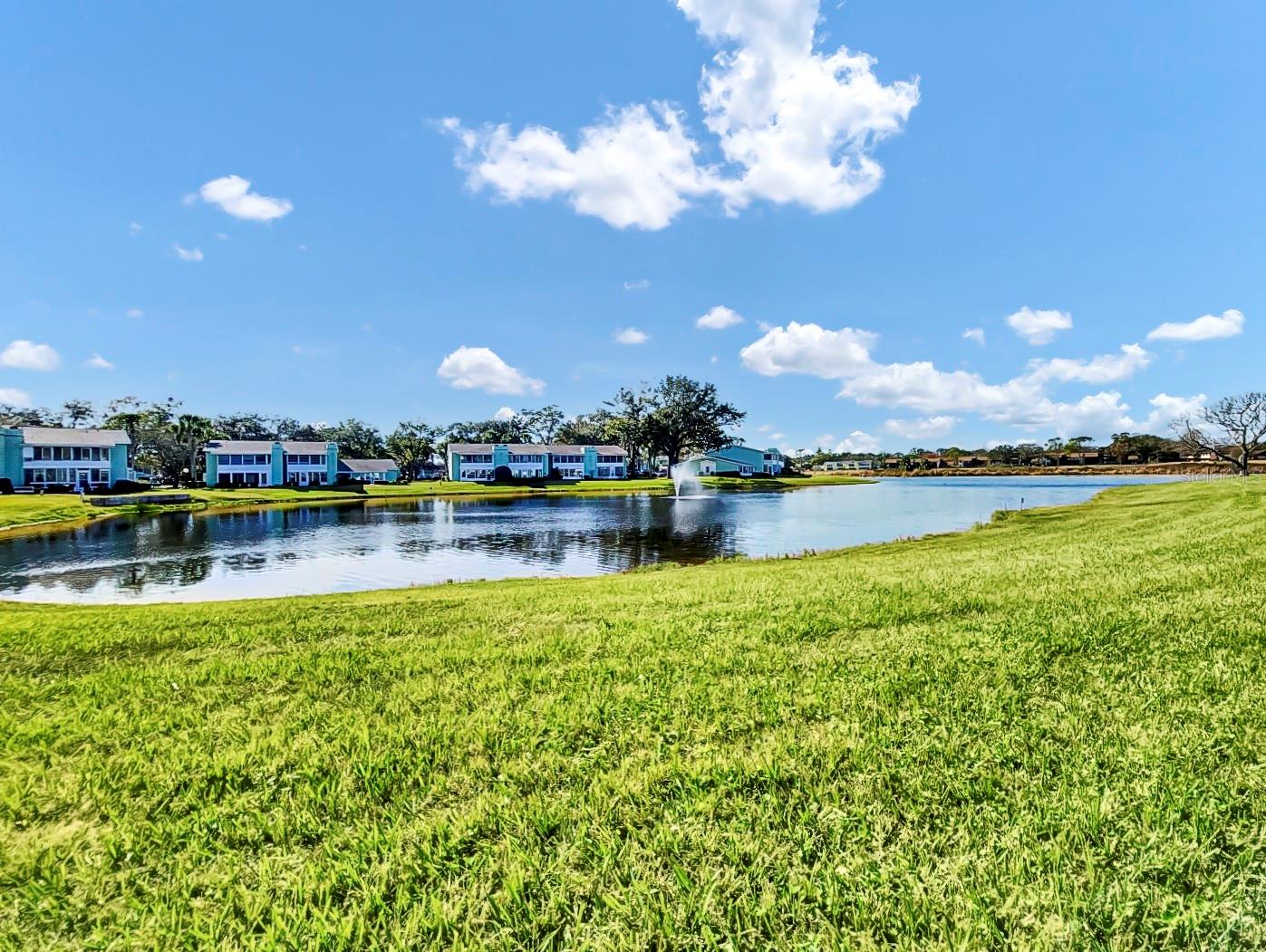 OM708848 Property Photo