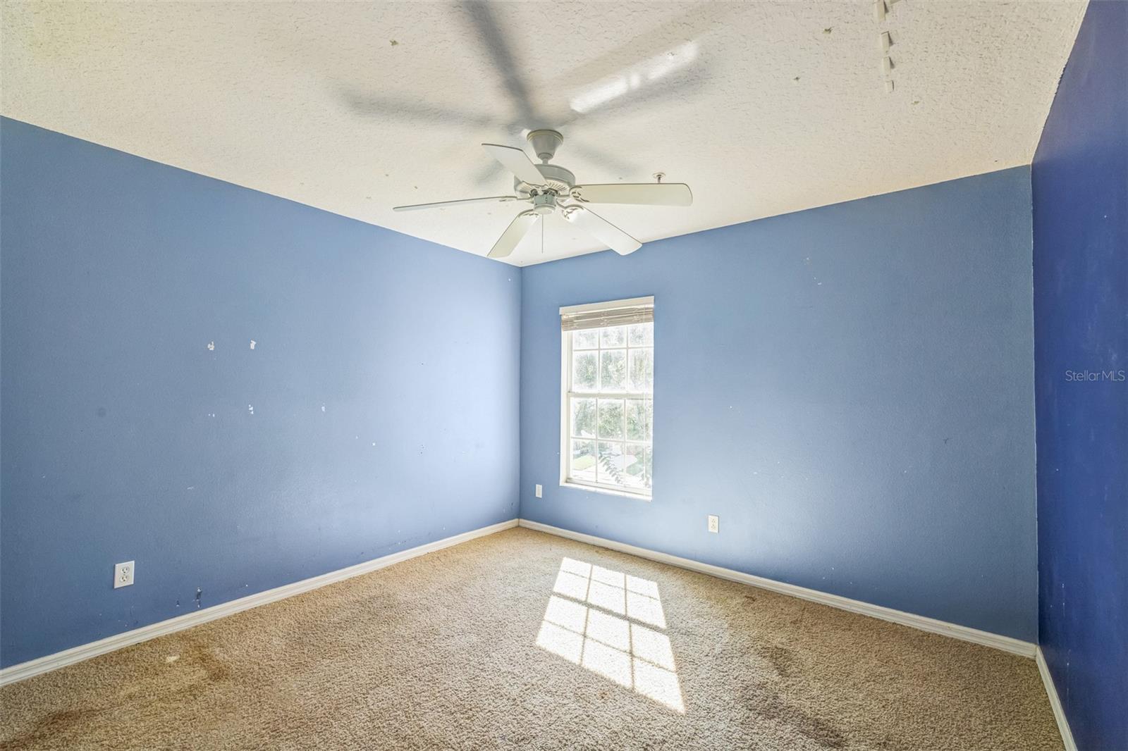 1926 SUNSET PALM DR, APOPKA, FL, 32712