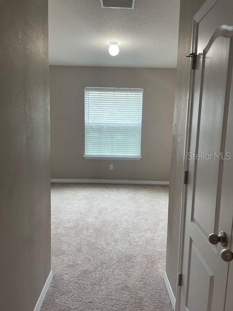 10425 YELLOW SPICE CT, RIVERVIEW, FL, 33578