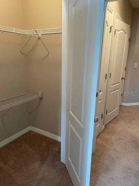 10425 YELLOW SPICE CT, RIVERVIEW, FL, 33578