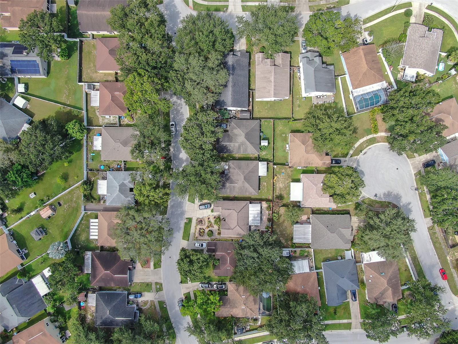 1816 ELLINGTON CT, VALRICO, FL, 33594