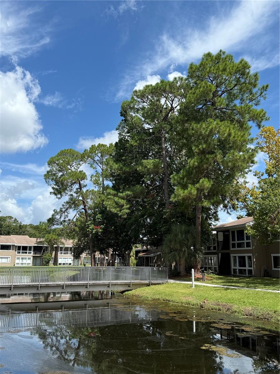 6090 PEREGRINE AVE #C07, ORLANDO, FL, 32819