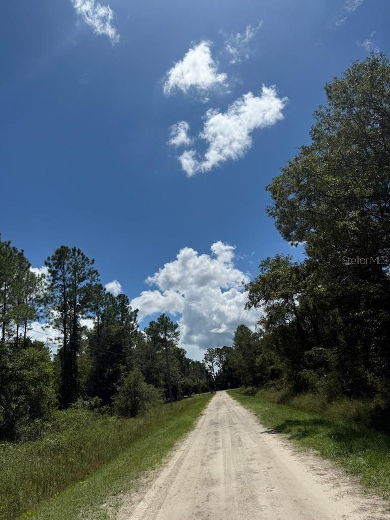 10345 GREGORY AVE, HASTINGS, FL, 32145