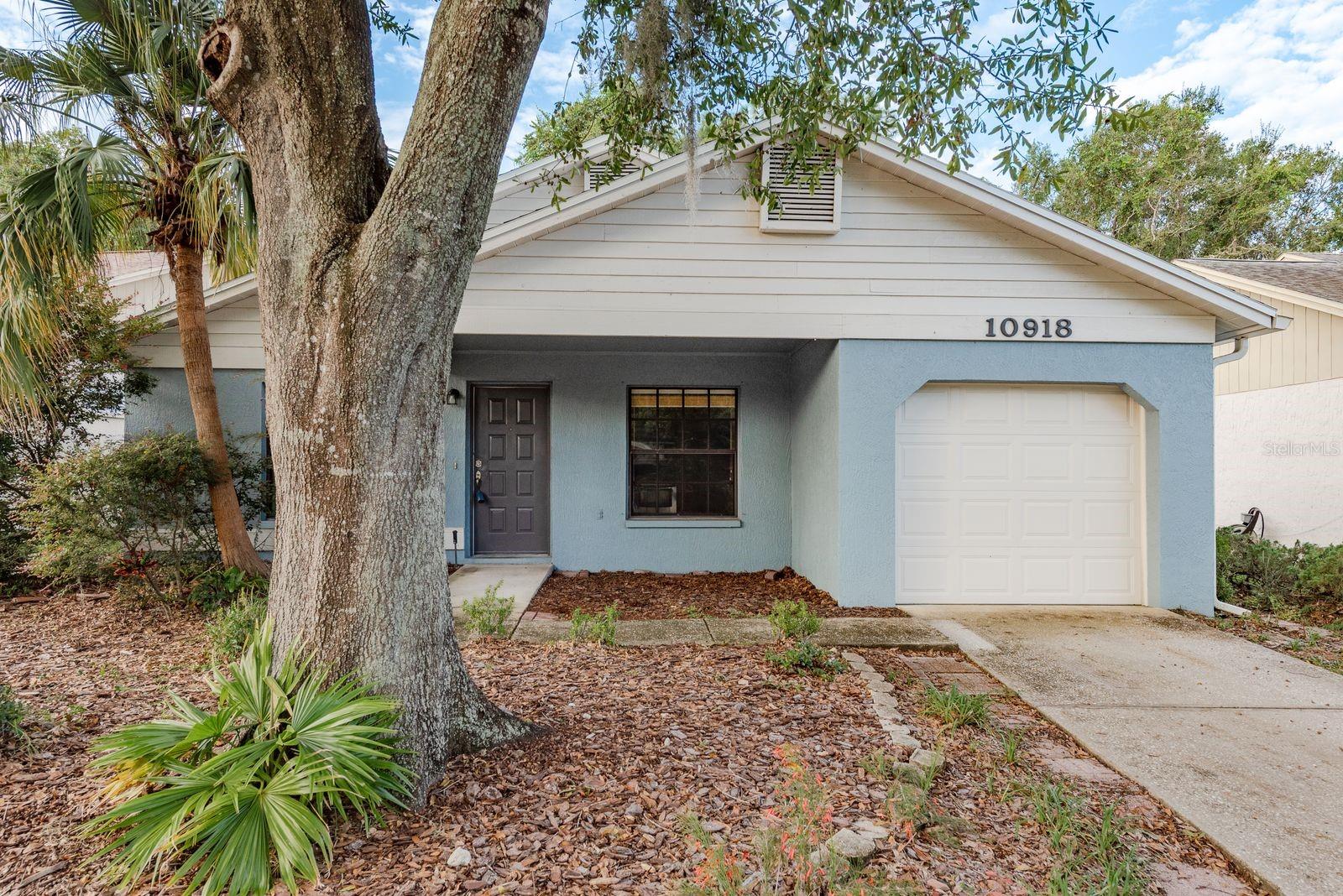 10918 FREEMONT DR, NEW PORT RICHEY, FL, 34654