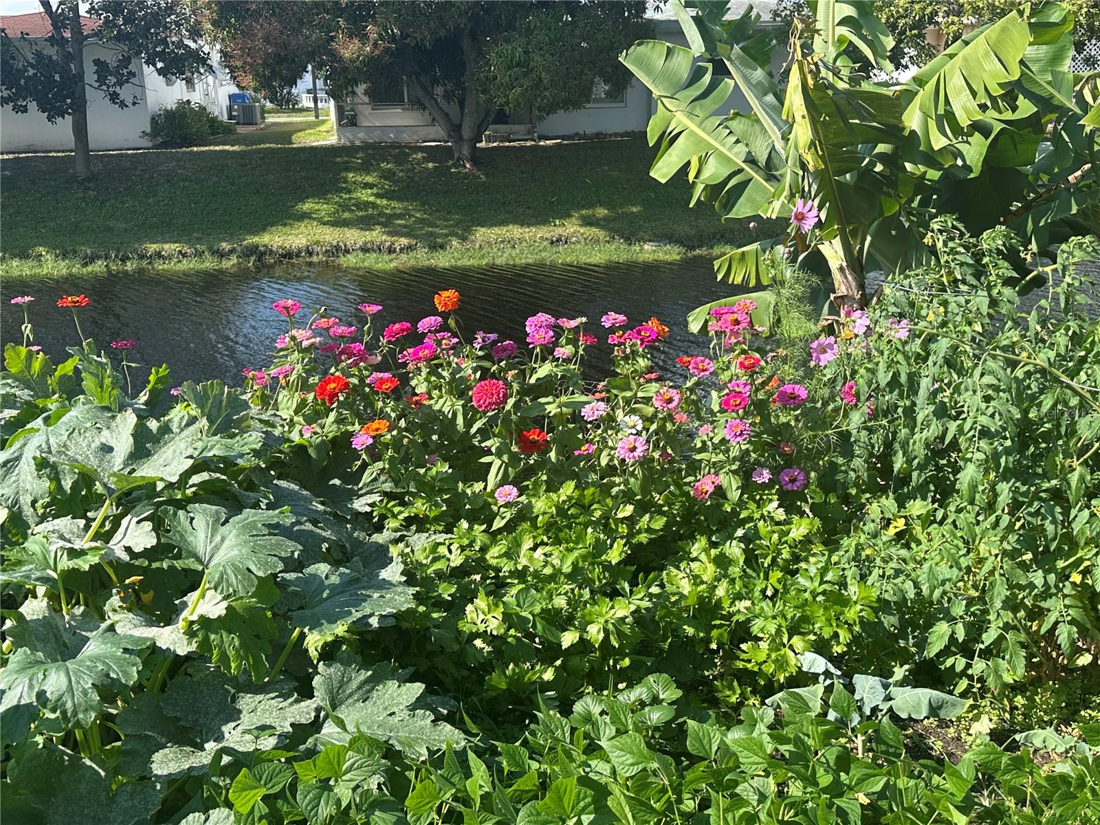 735 NW 73RD TER, MARGATE, FL, 33063