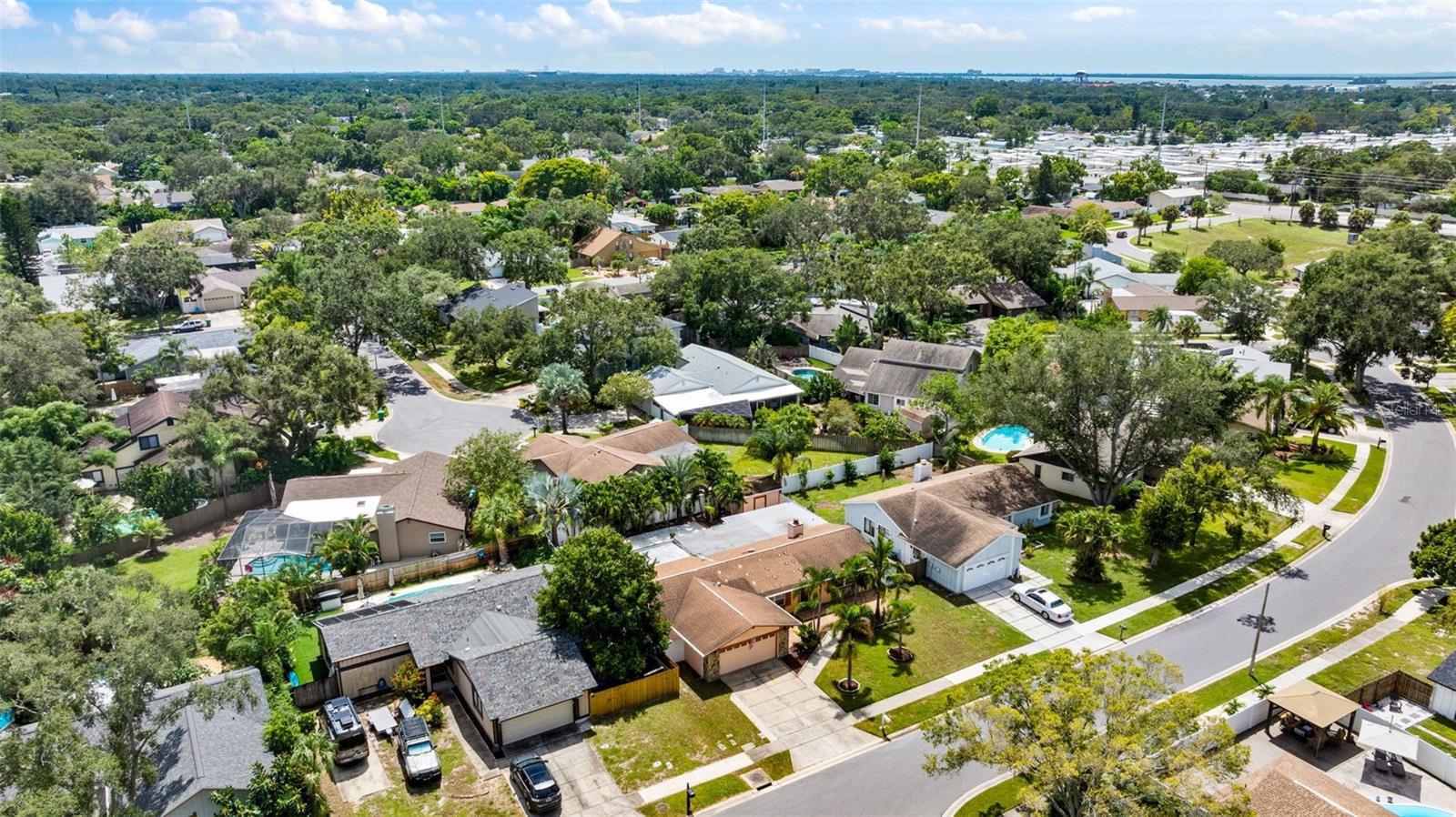 1436 WEXFORD DR N, PALM HARBOR, FL, 34683