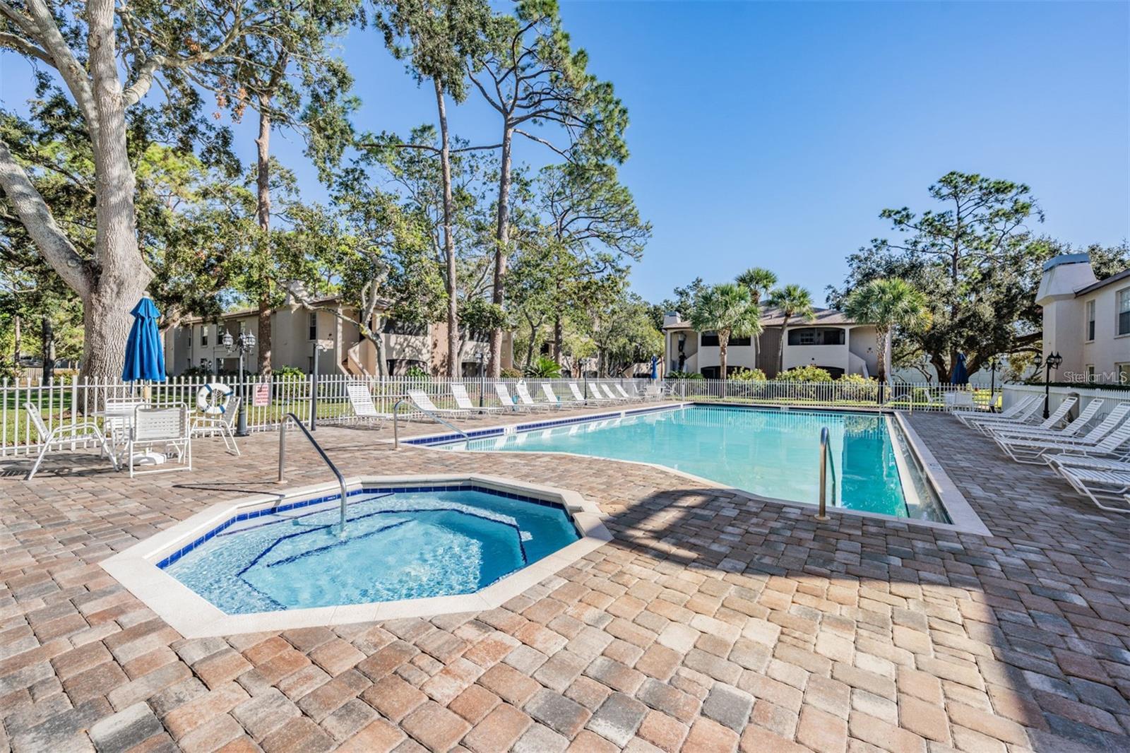 3020 BONAVENTURE CIR #204, PALM HARBOR, FL, 34684