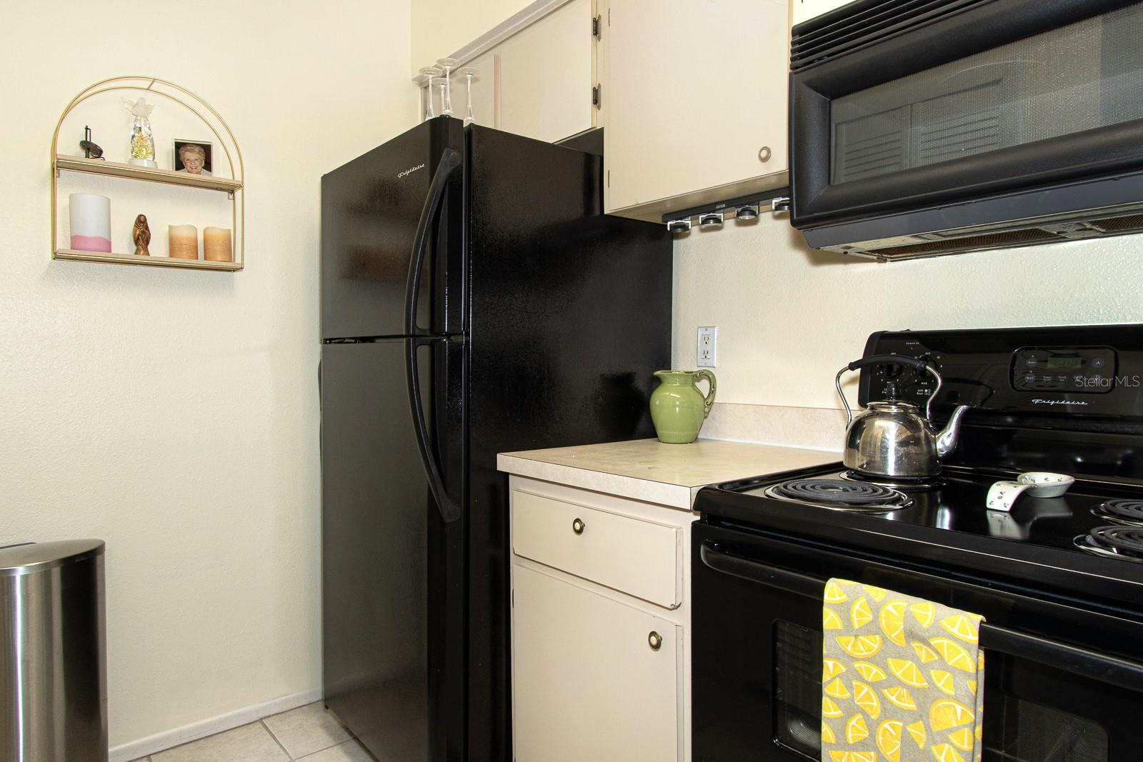 3020 BONAVENTURE CIR #204, PALM HARBOR, FL, 34684