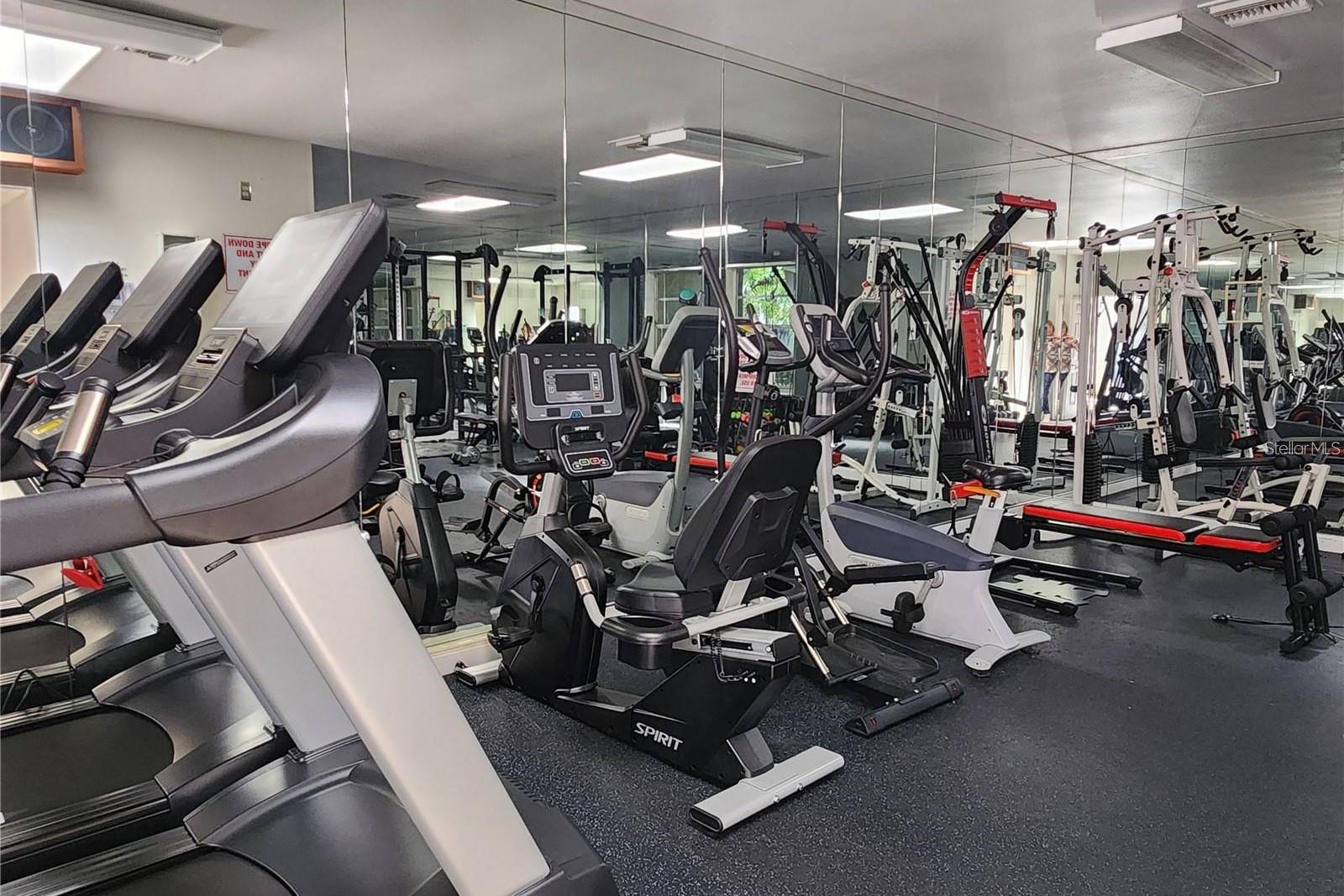 3020 BONAVENTURE CIR #204, PALM HARBOR, FL, 34684