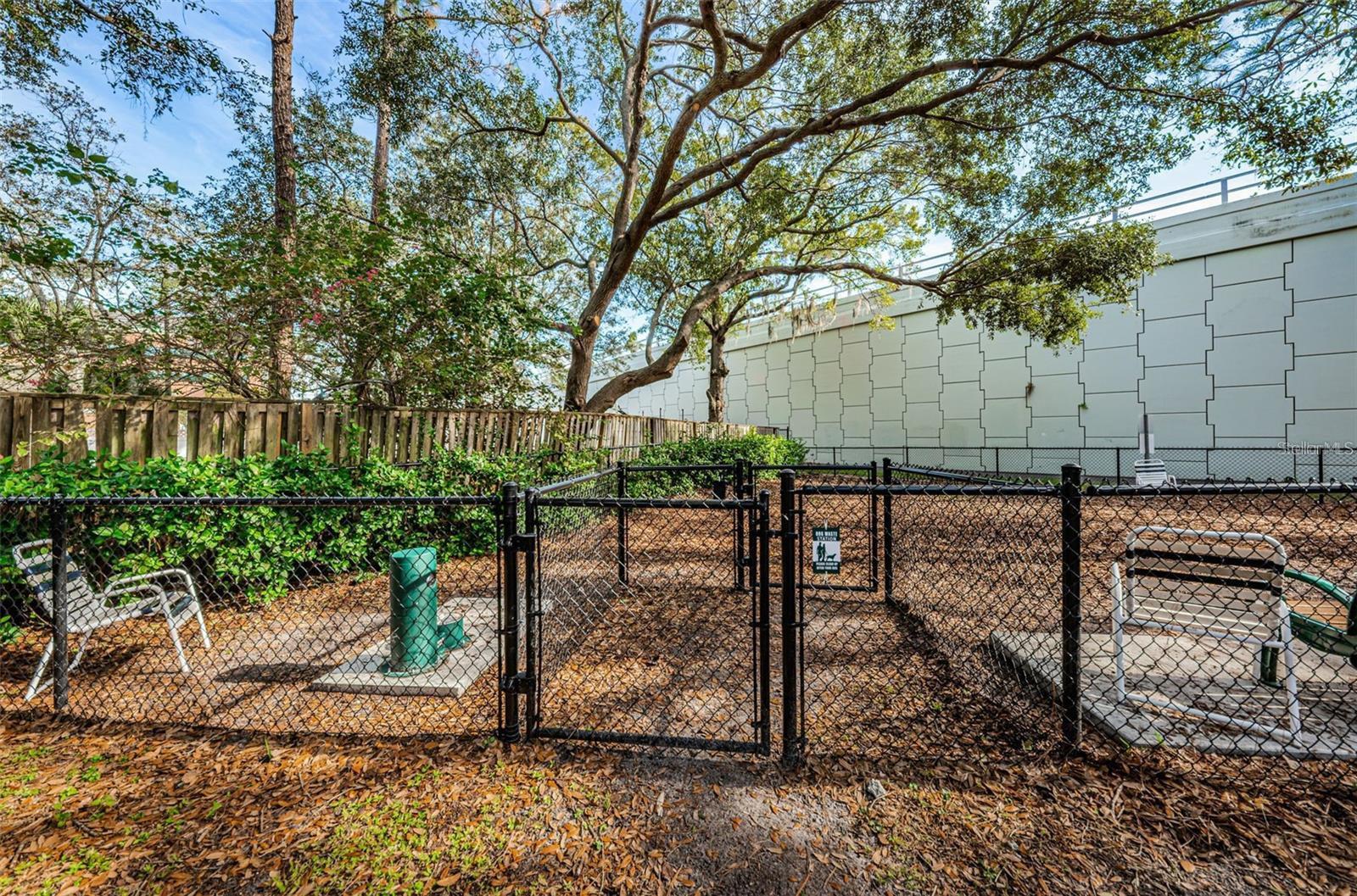 3020 BONAVENTURE CIR #204, PALM HARBOR, FL, 34684