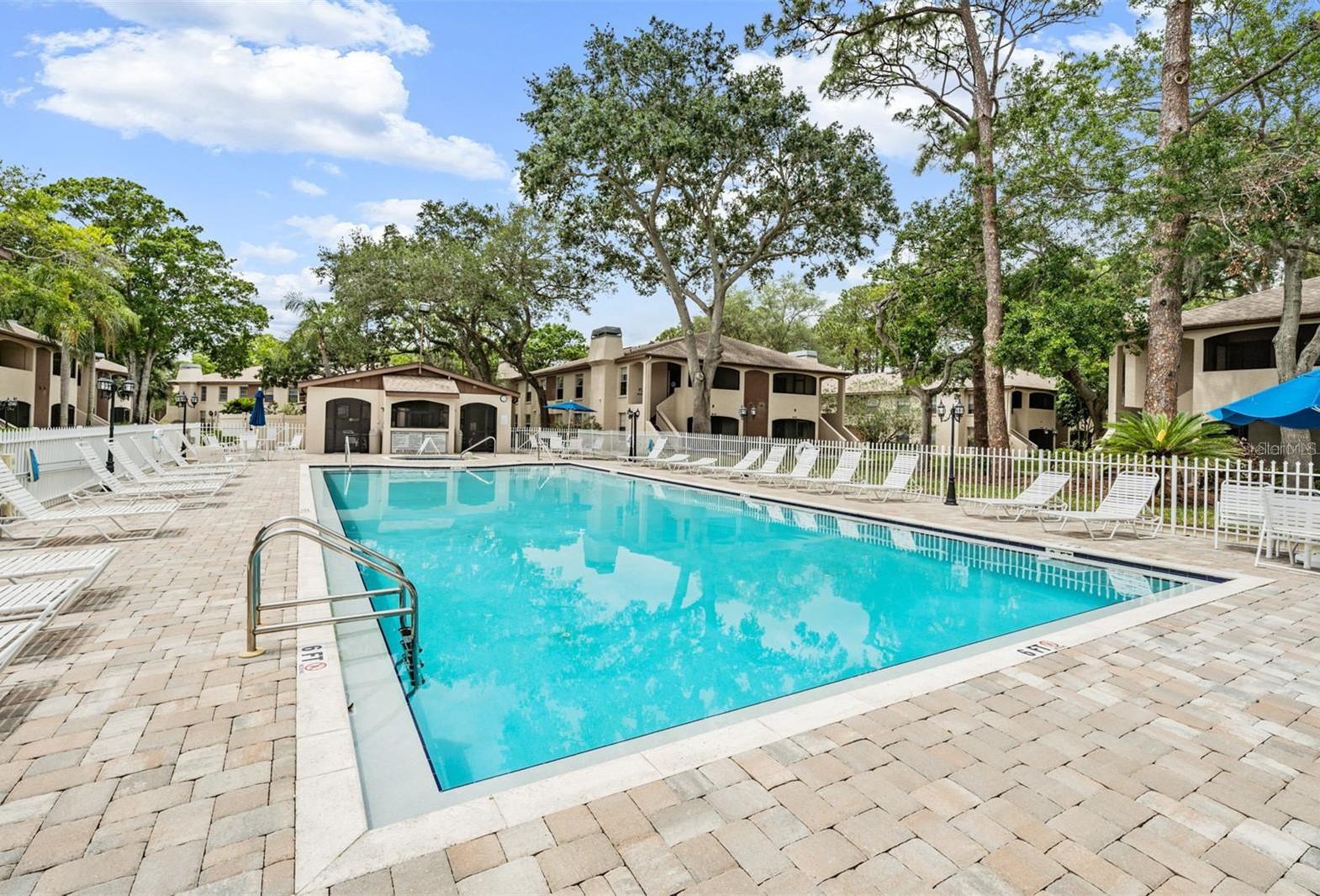 3020 BONAVENTURE CIR #204, PALM HARBOR, FL, 34684