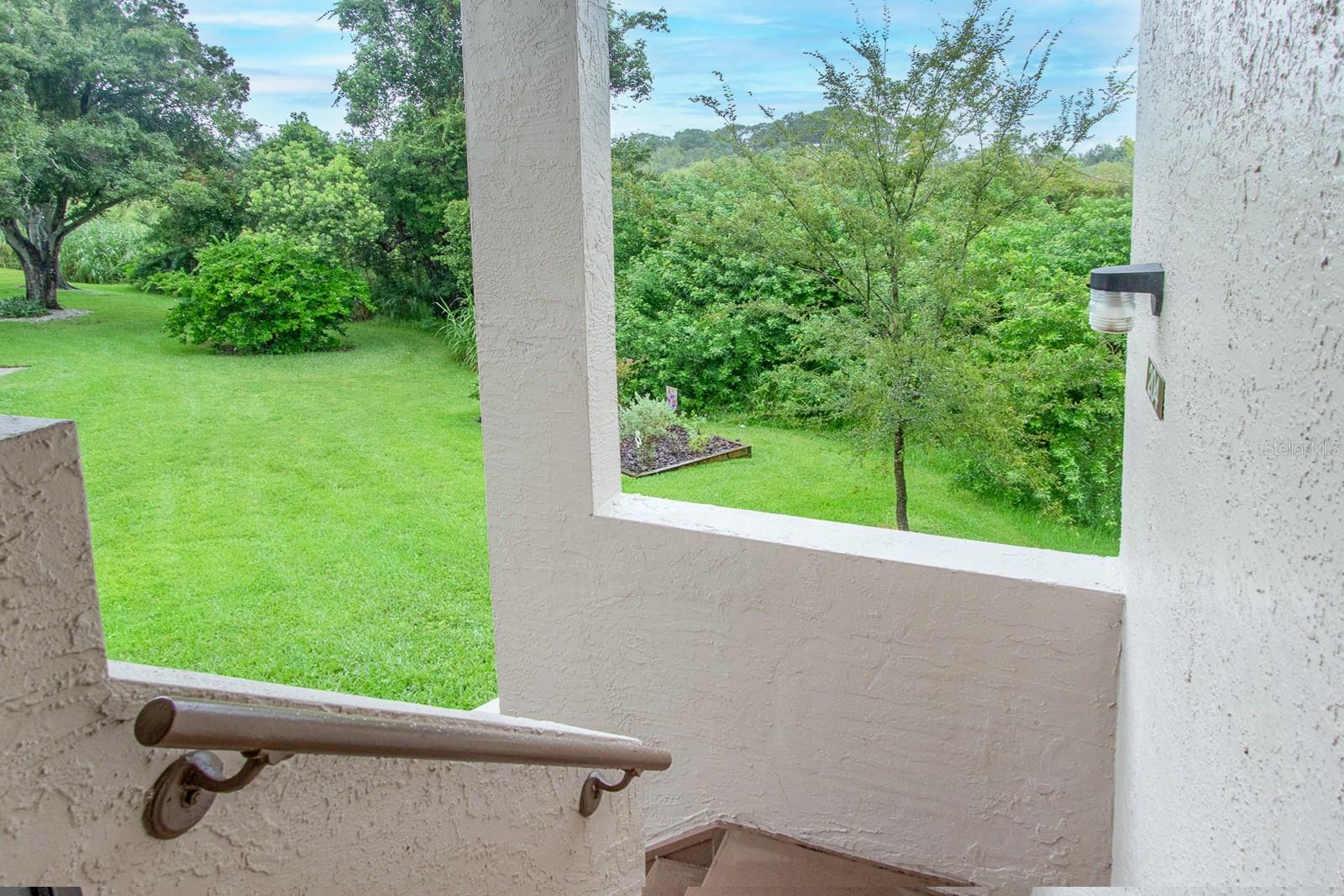 3020 BONAVENTURE CIR #204, PALM HARBOR, FL, 34684