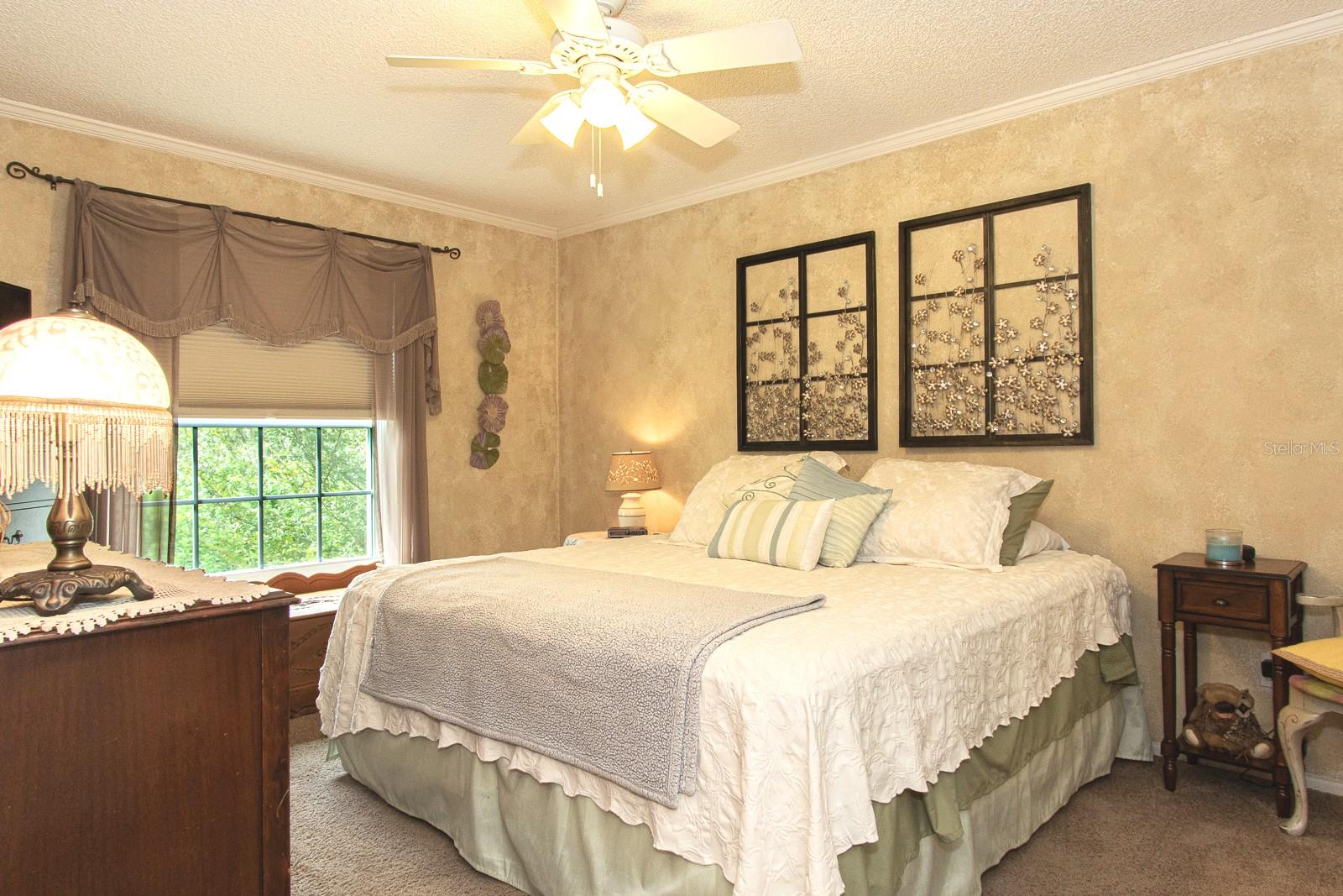 3020 BONAVENTURE CIR #204, PALM HARBOR, FL, 34684