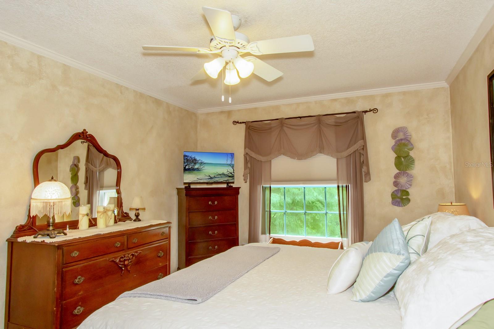 3020 BONAVENTURE CIR #204, PALM HARBOR, FL, 34684