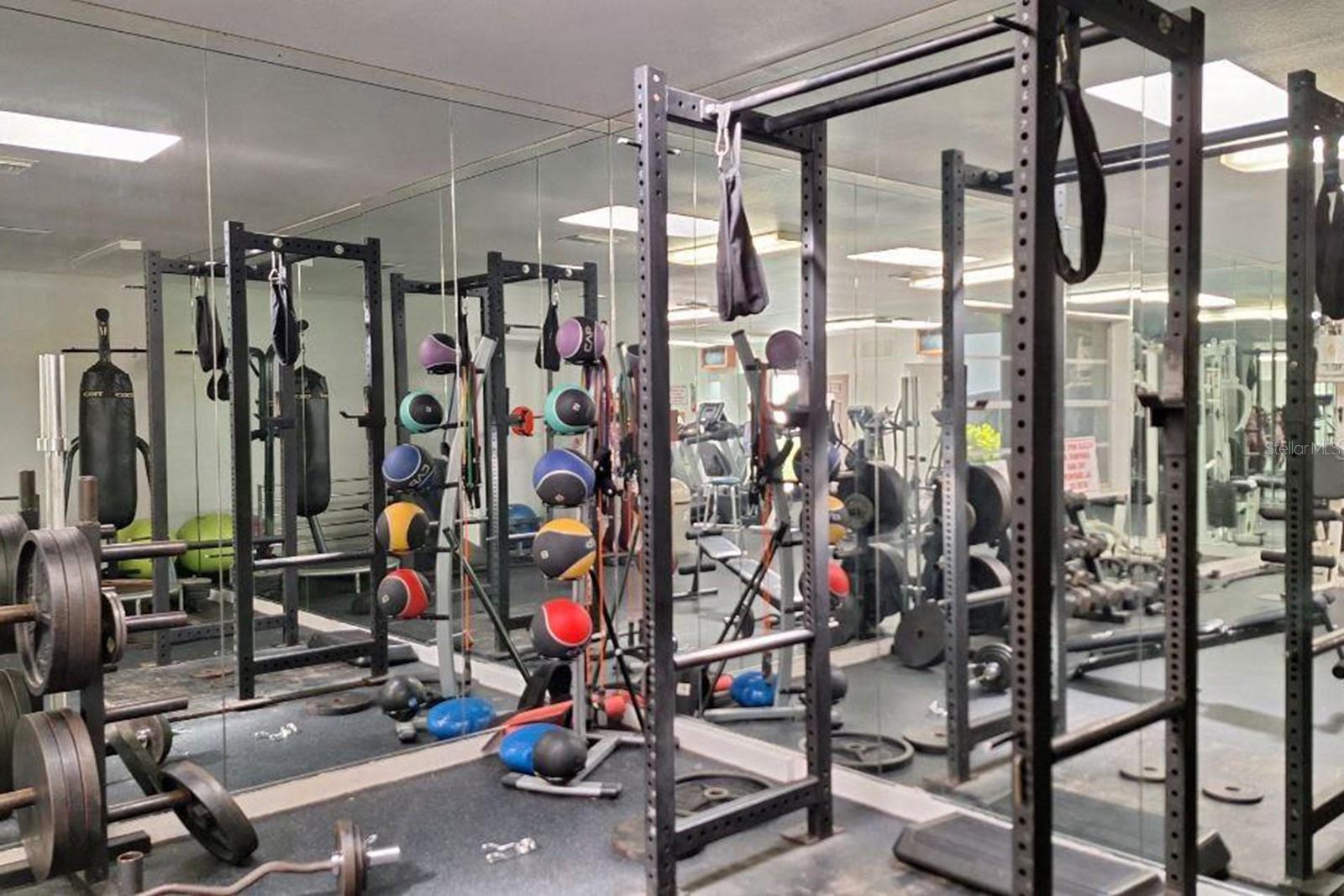 3020 BONAVENTURE CIR #204, PALM HARBOR, FL, 34684