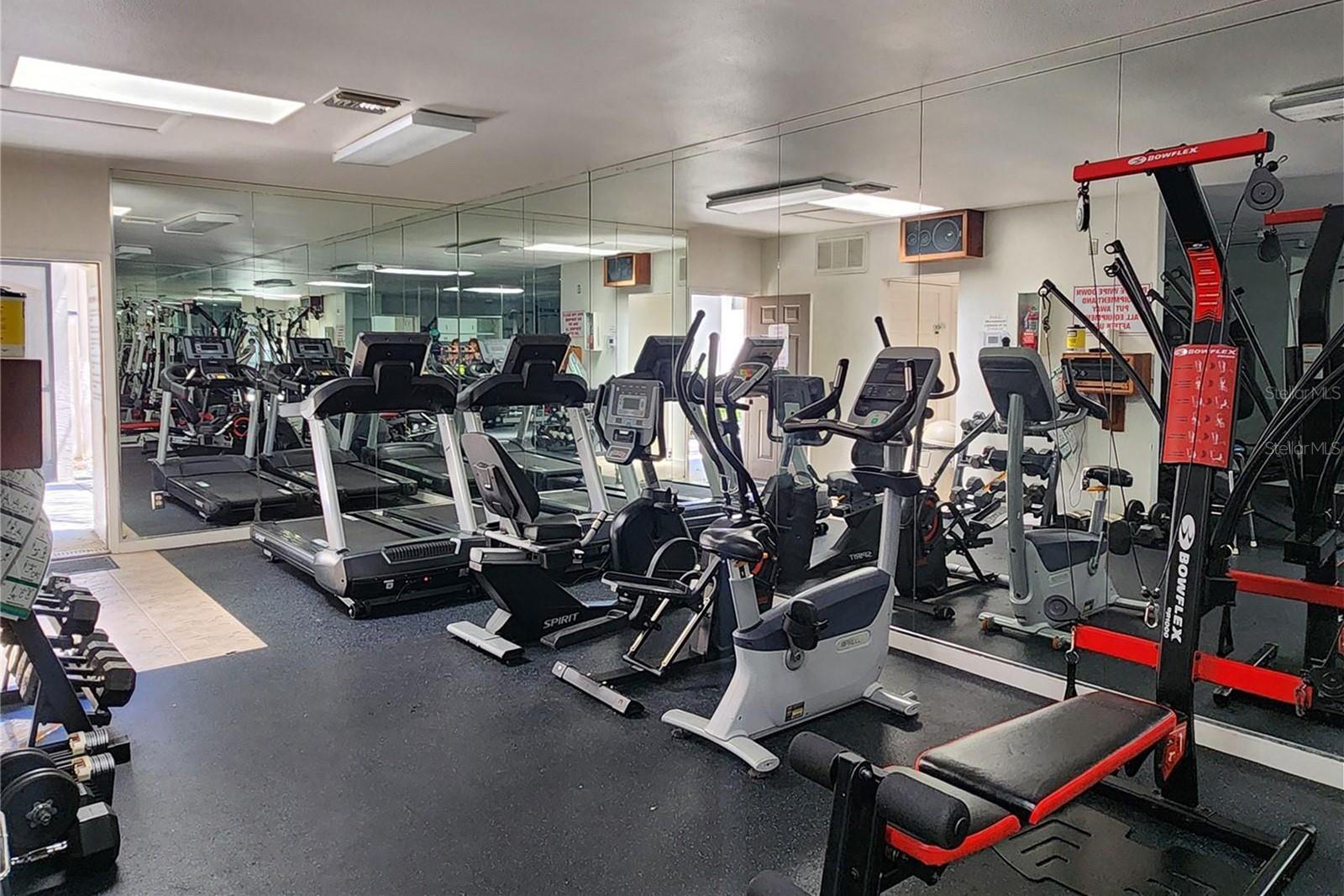 3020 BONAVENTURE CIR #204, PALM HARBOR, FL, 34684