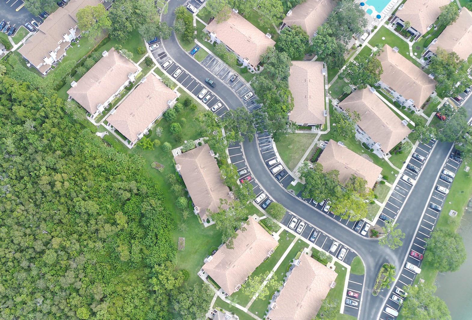 3020 BONAVENTURE CIR #204, PALM HARBOR, FL, 34684