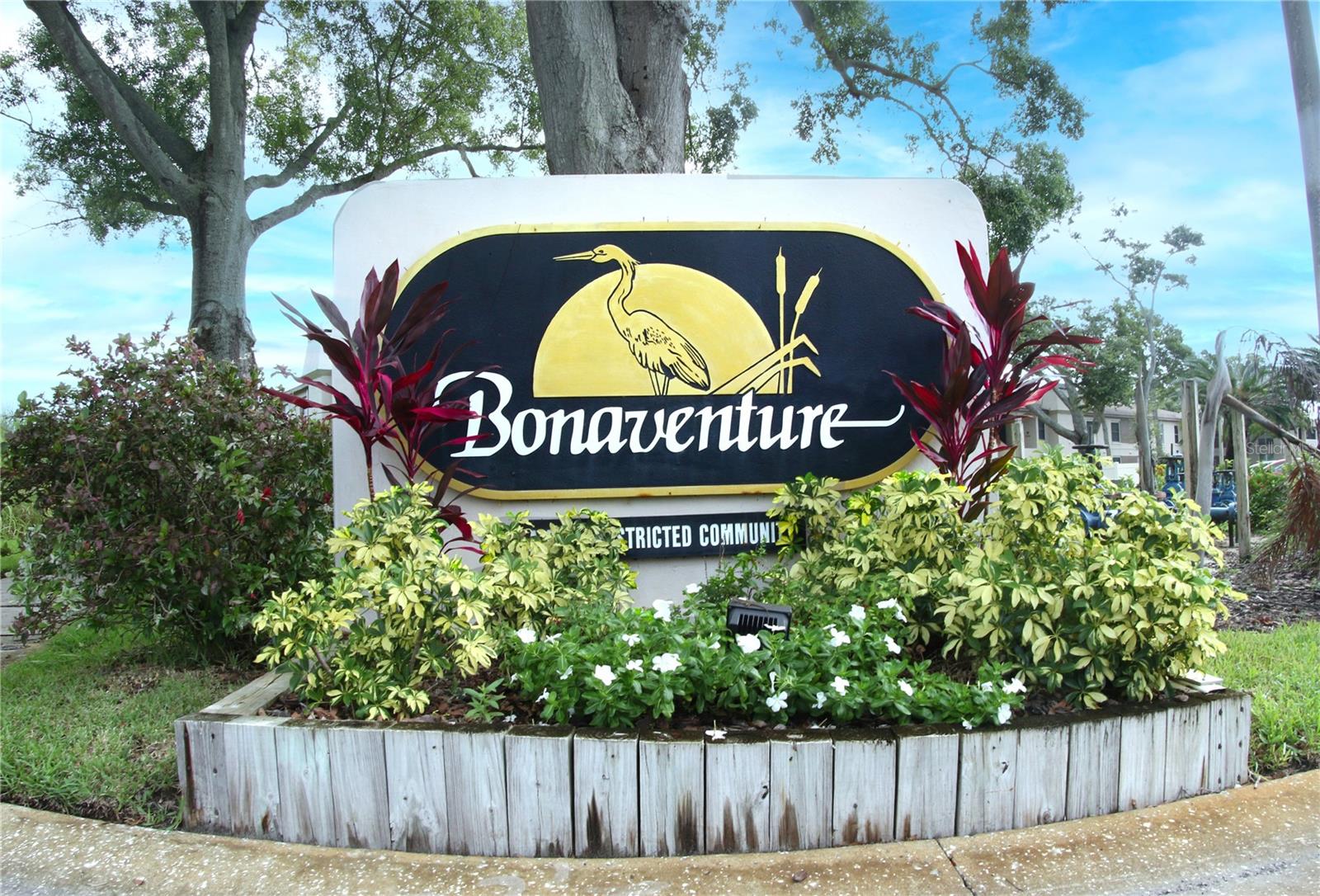 3020 BONAVENTURE CIR #204, PALM HARBOR, FL, 34684