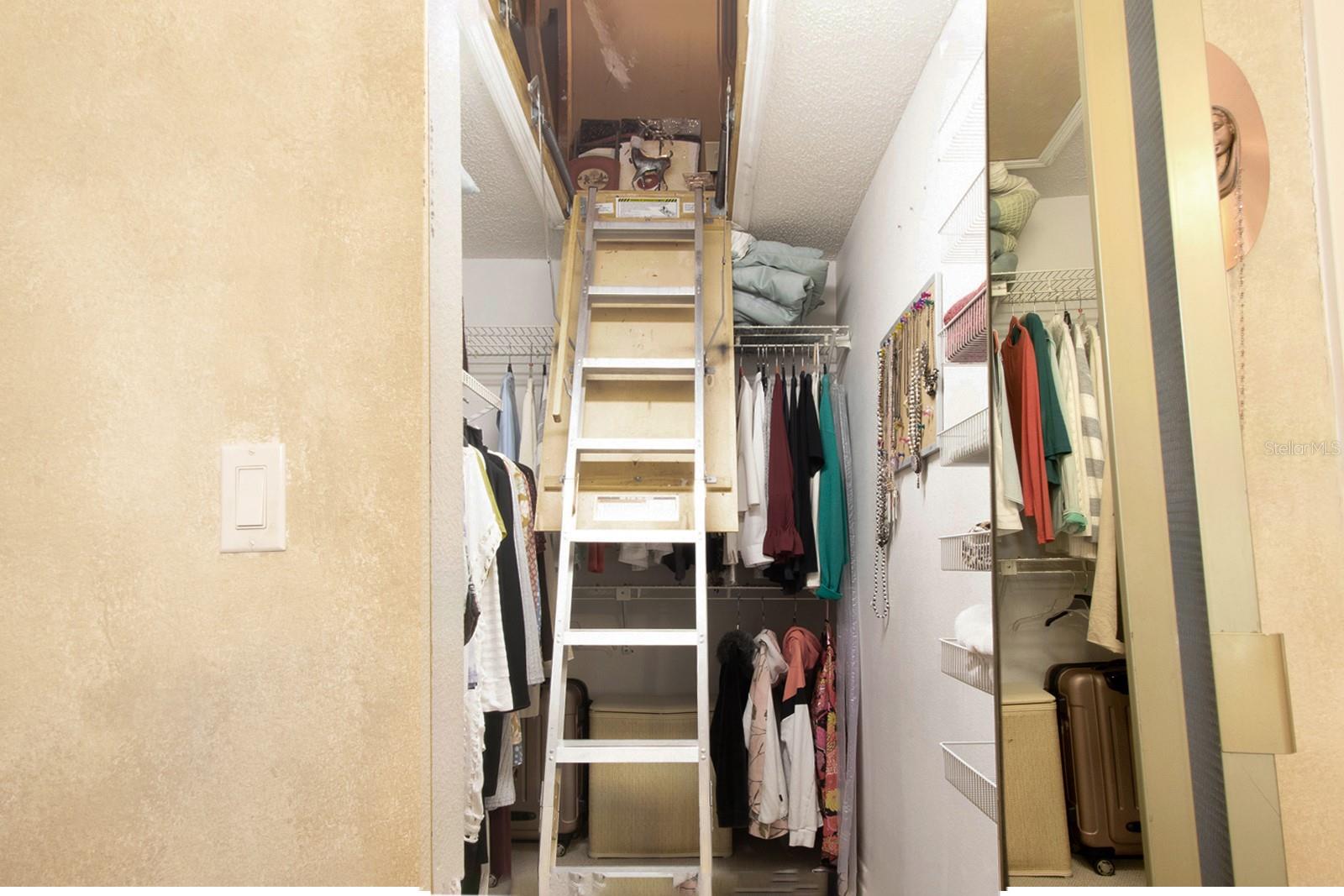 3020 BONAVENTURE CIR #204, PALM HARBOR, FL, 34684